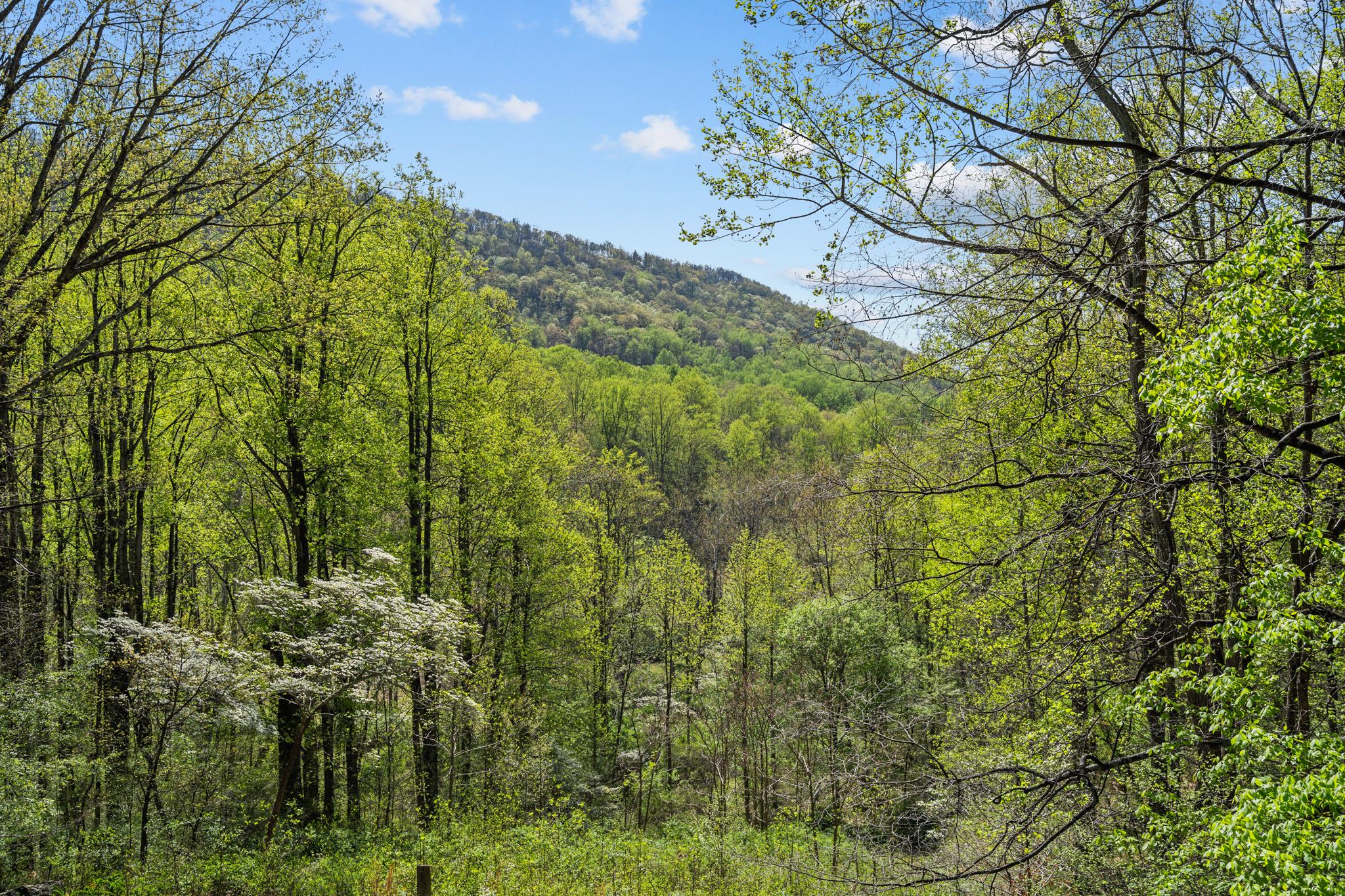 GID BROWN HOLLOW - Residential