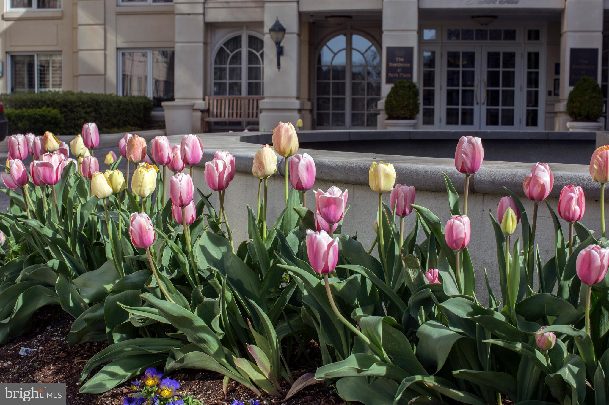 PARK PLACE - Residential