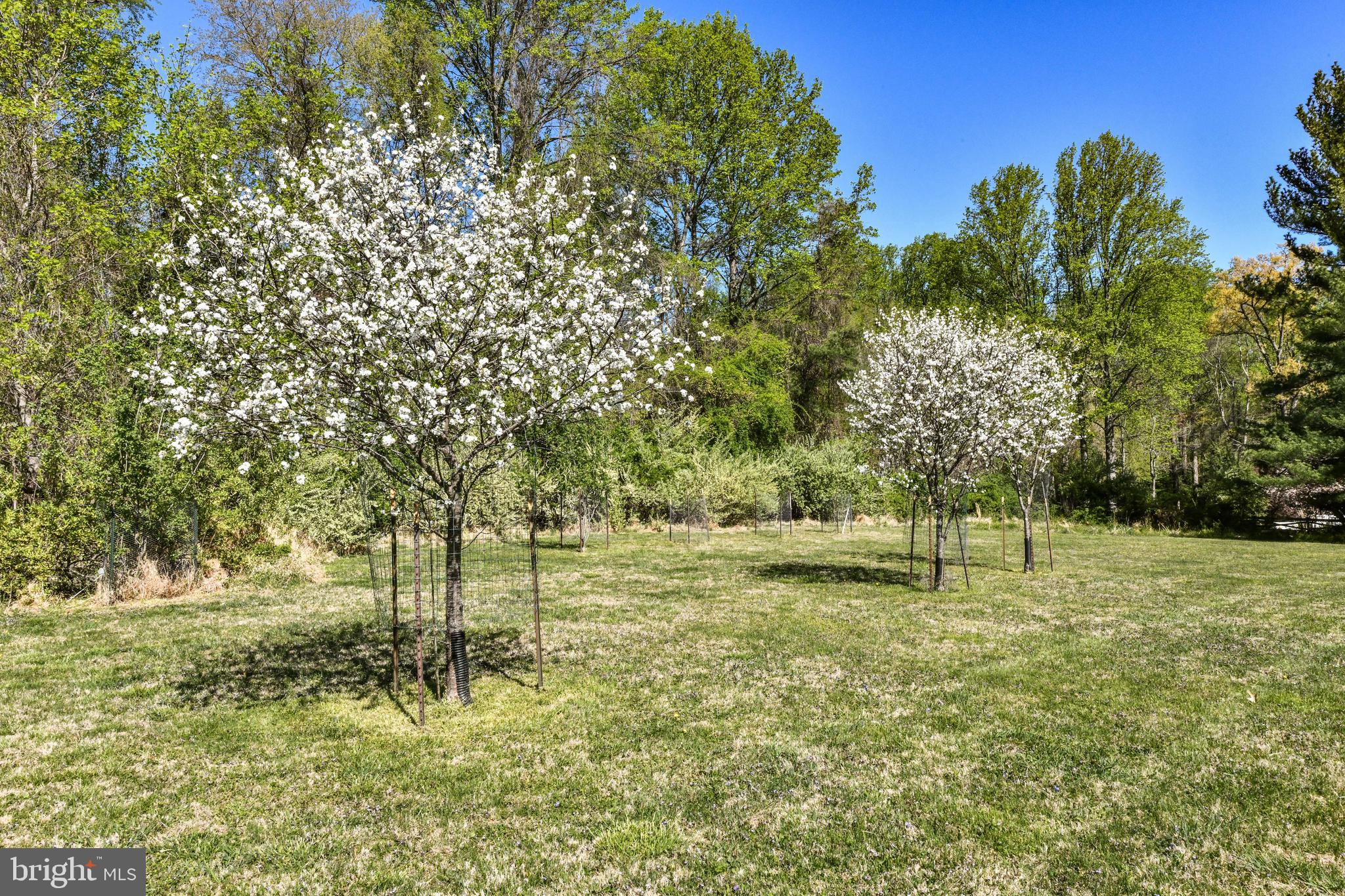 GOULDMAN ACRES - Residential