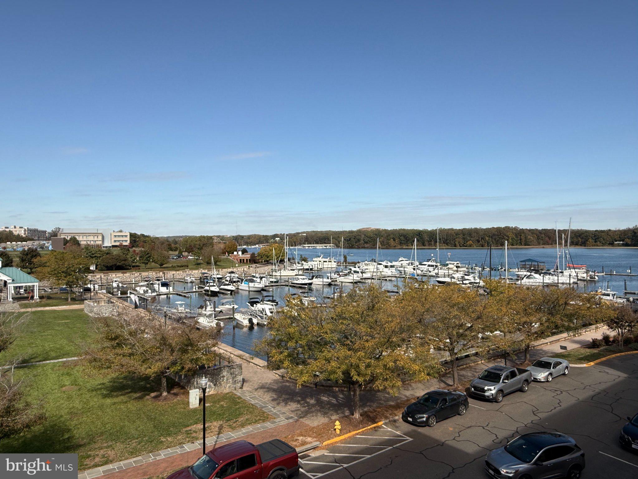 525 BELMONT BAY DRIVE 306