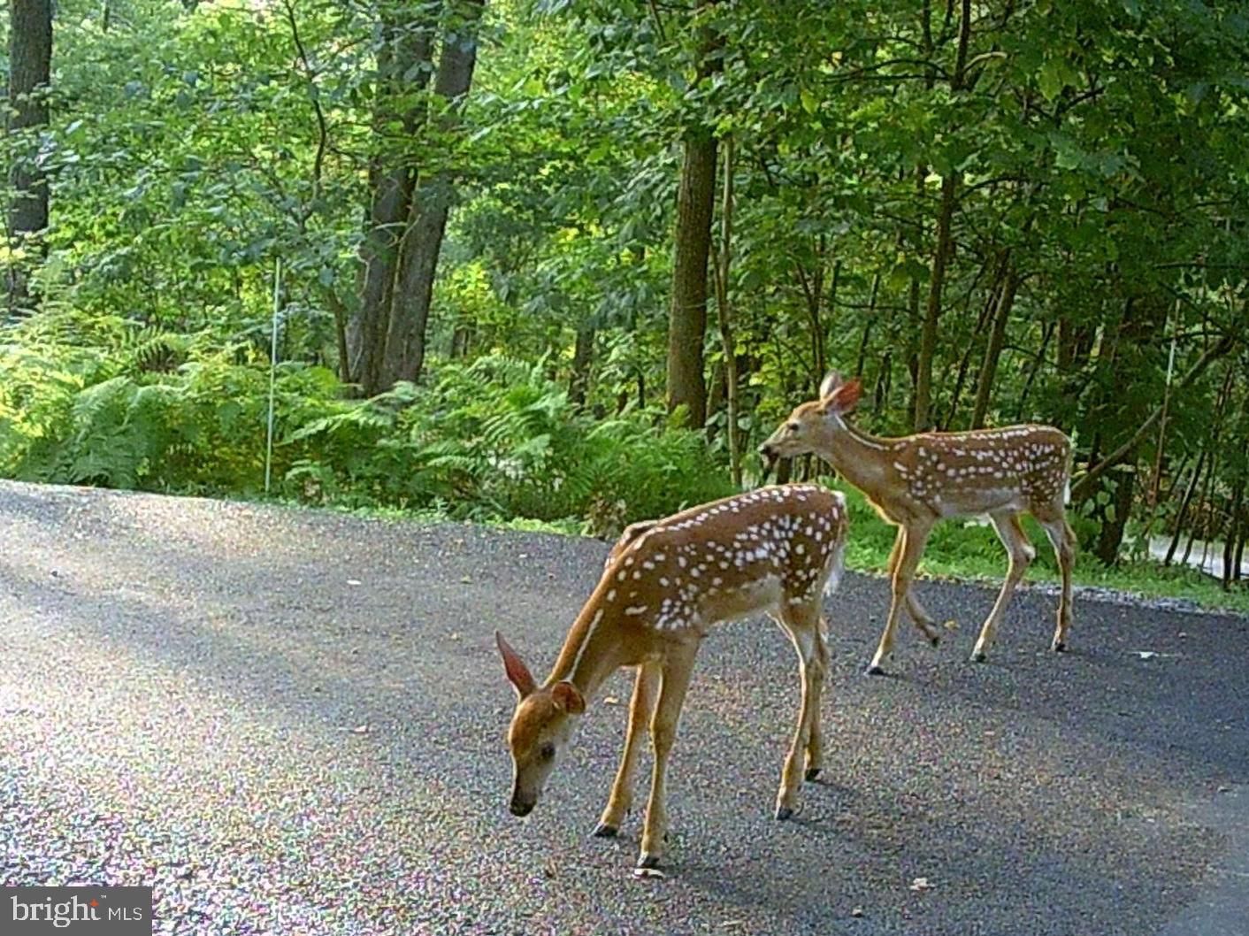 VALLEY HIGH TIMBER FARMS - Residential