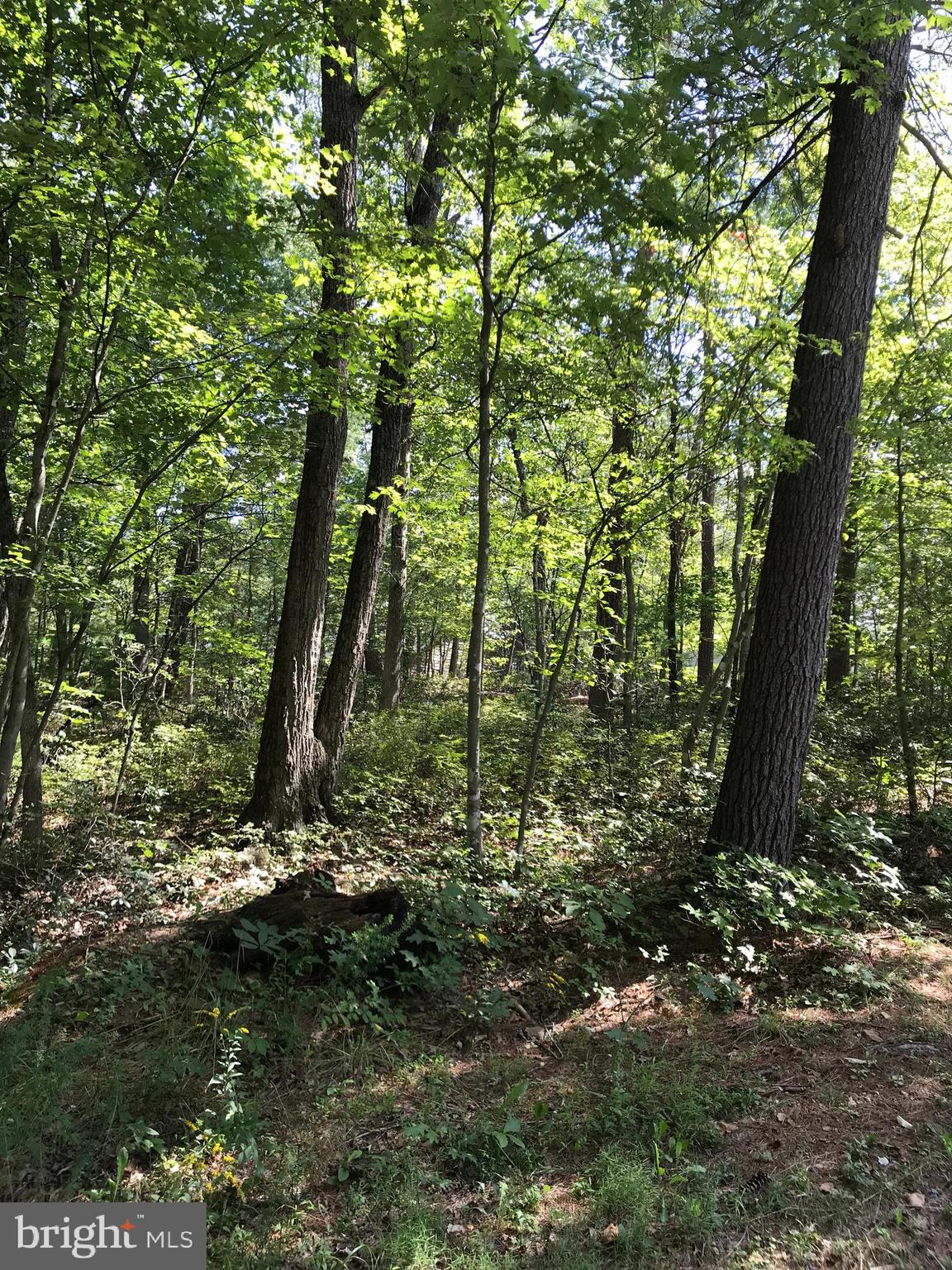 BRYCE MOUNTAIN RESORT - Land