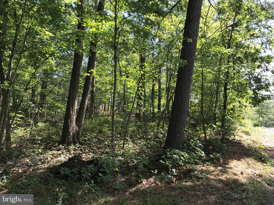 A mostly flat corner building lot at Bryce Resort. Easy access to state road and Bryce amenities.  If every lot you have looked at has been too high or too steep, come see this one. Very buildable and includes mature trees. Water and sewer are installed up to the lot line. Bring you ideas and your builder and let's make your dreams come true.