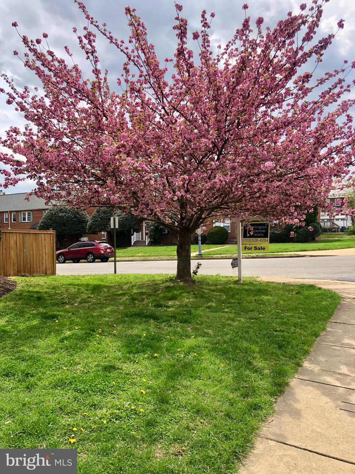 ASHTON HEIGHTS - Residential