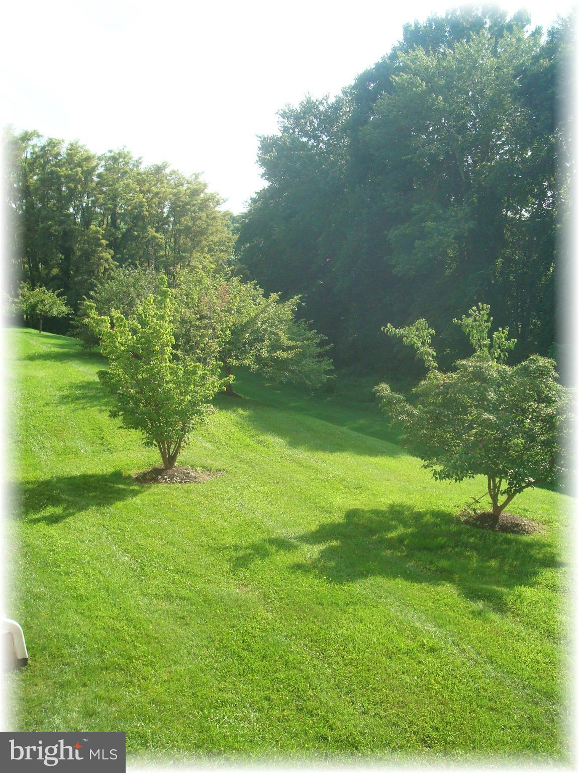 POND CONDOMINIUMS - Residential