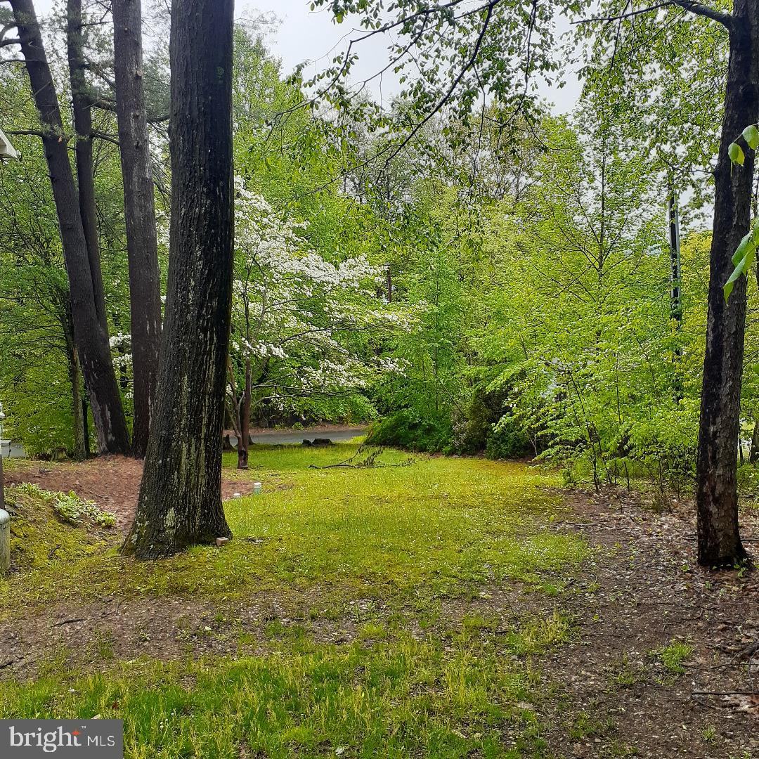 NEW PHILADELPHIA - Residential