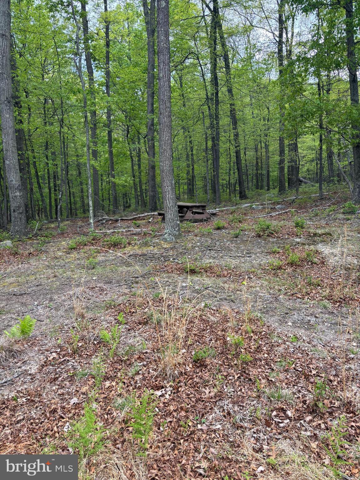TROUT PASS PARK SUBDIVISION - Land
