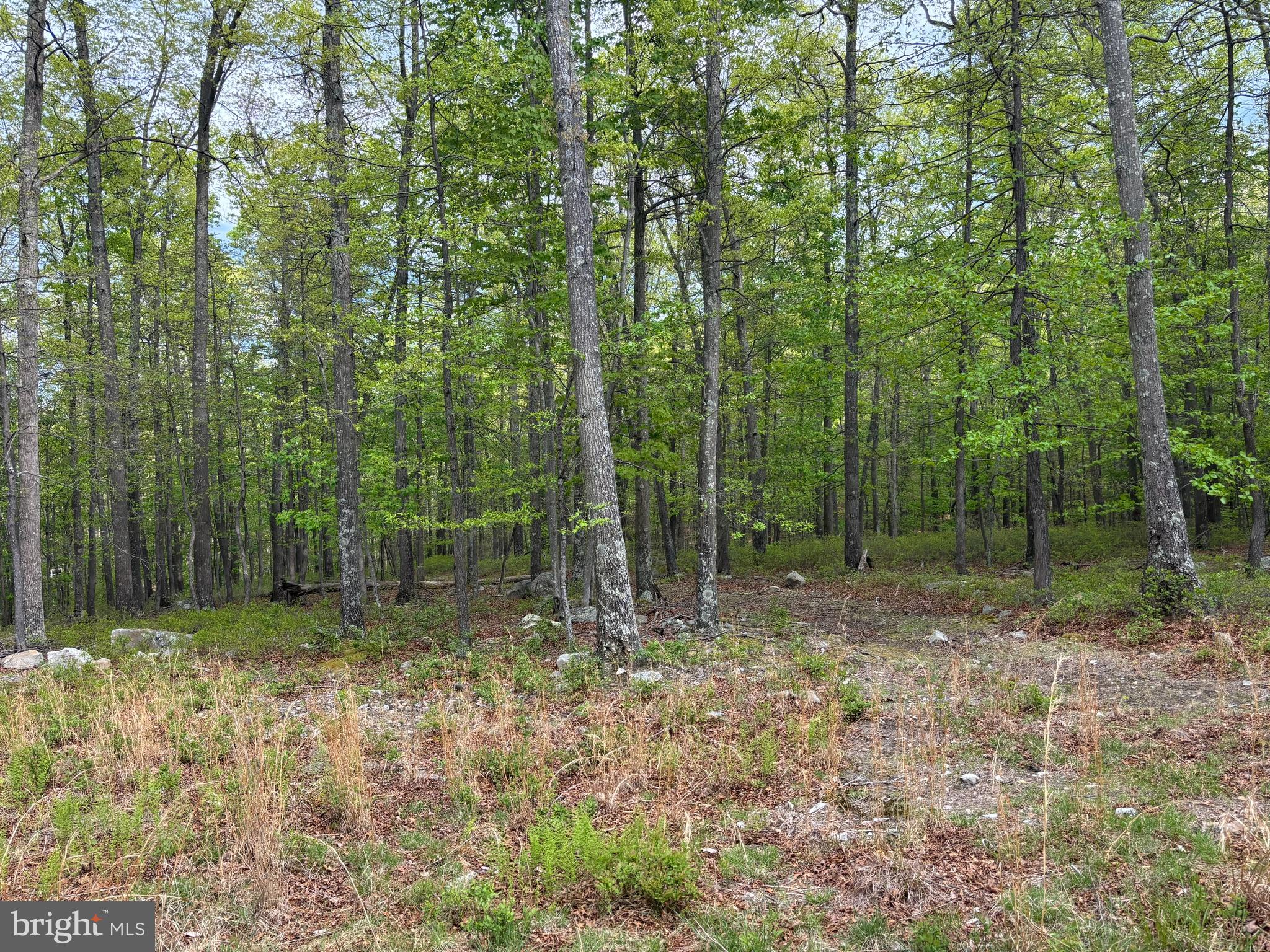 TROUT PASS PARK SUBDIVISION - Land