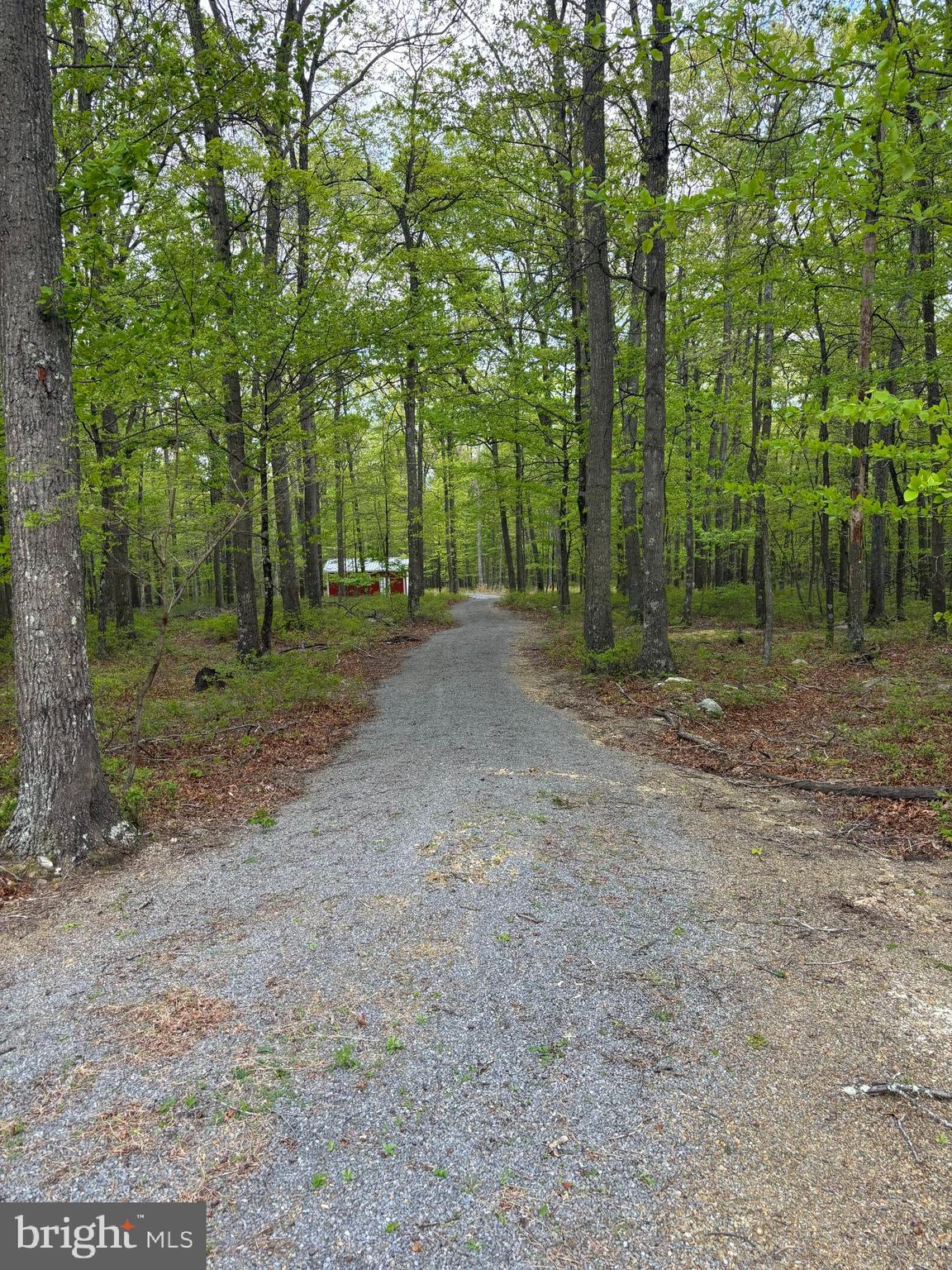 TROUT PASS PARK SUBDIVISION - Land