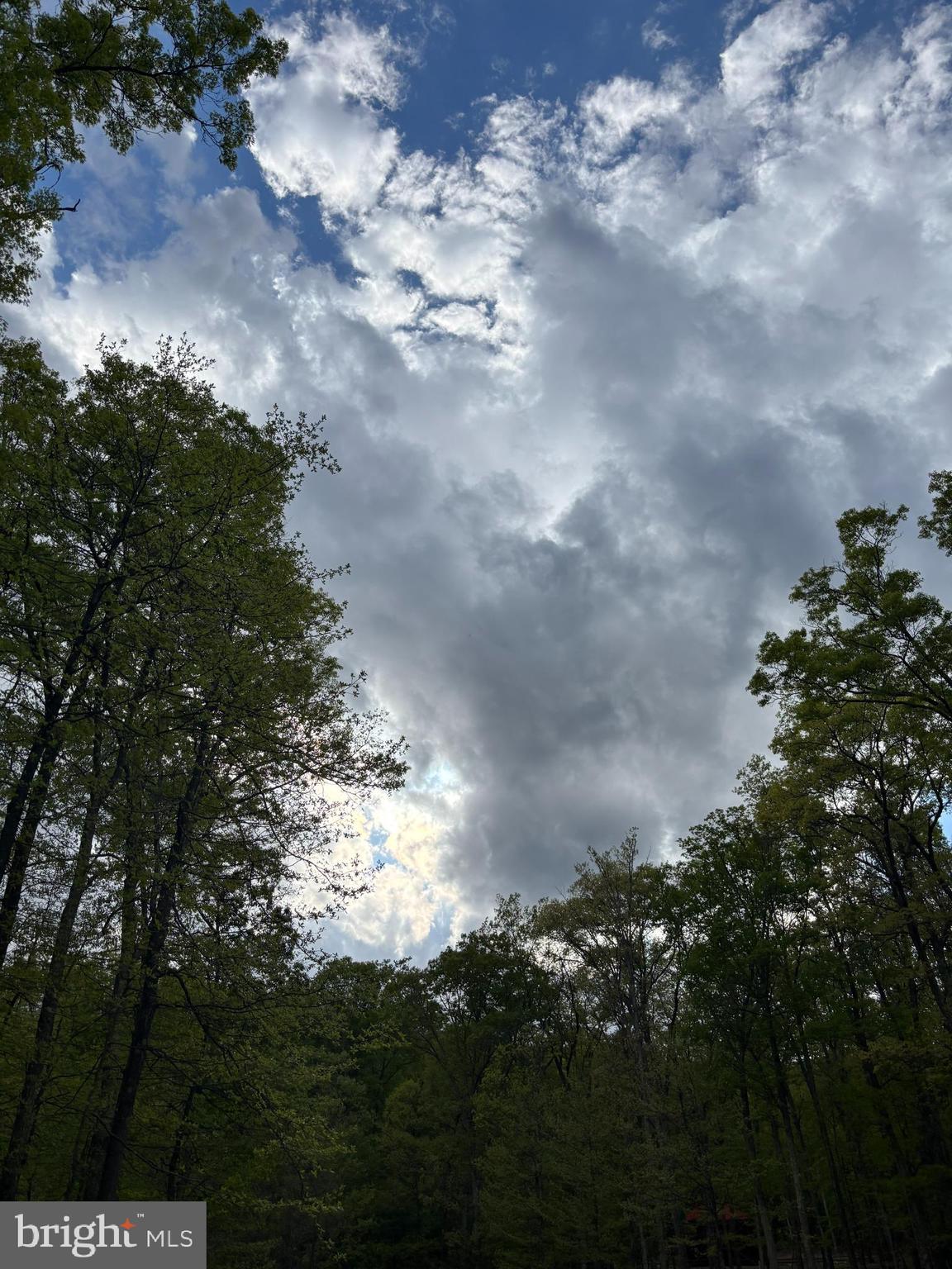 TROUT PASS PARK SUBDIVISION - Land
