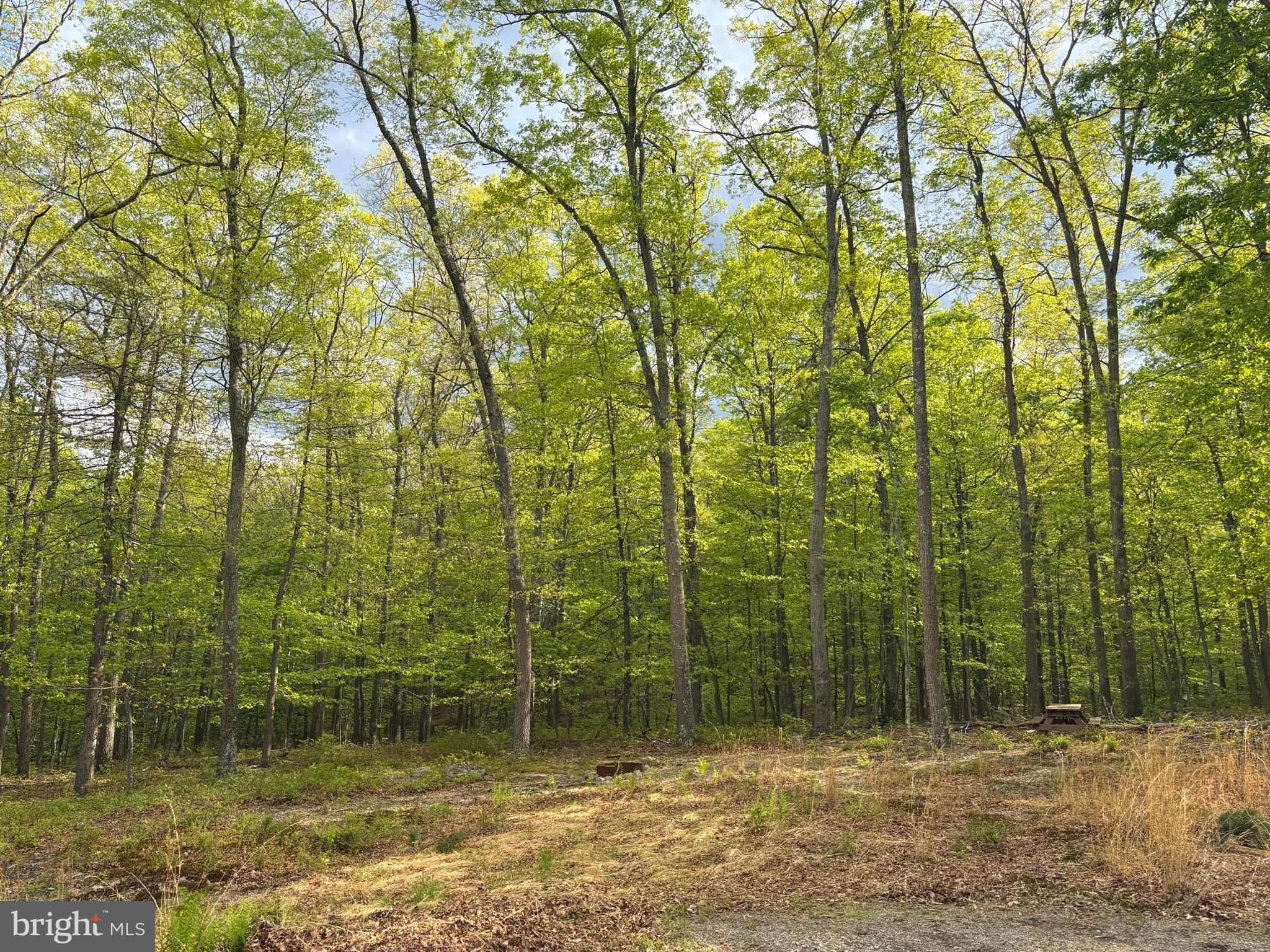 TROUT PASS PARK SUBDIVISION - Land