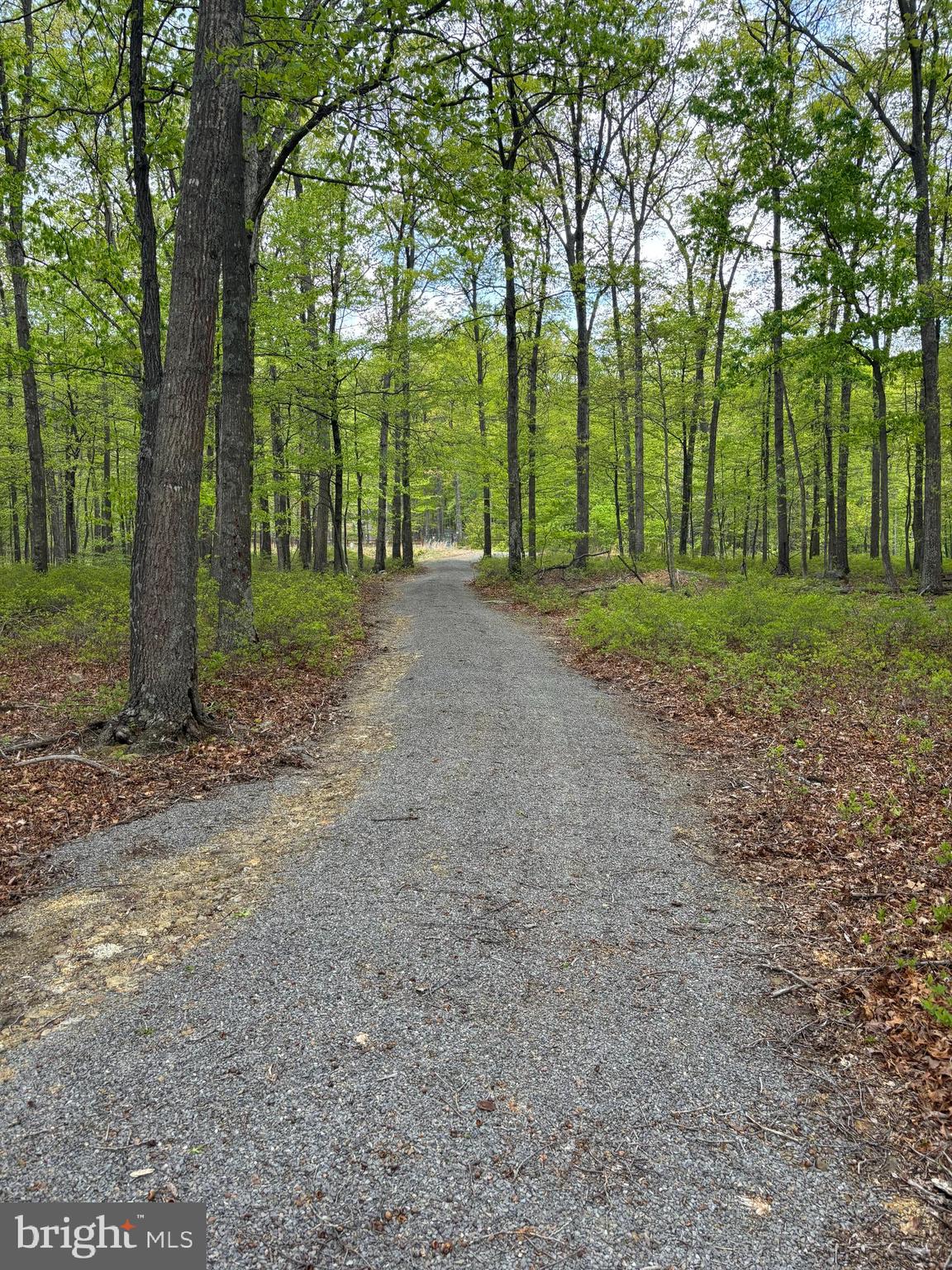 TROUT PASS PARK SUBDIVISION - Land