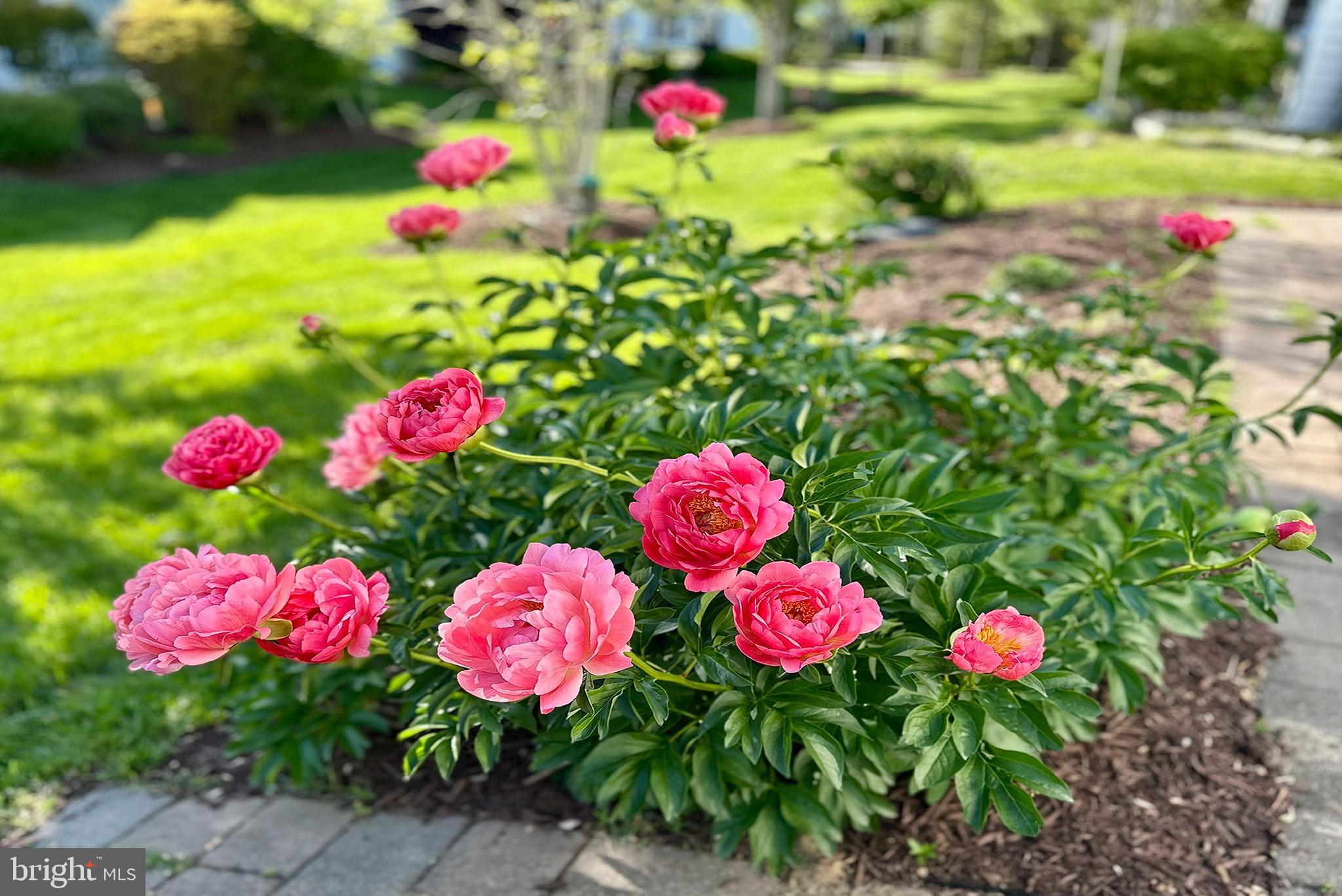 SYMPHONY VILLAGE AT CENTREVILLE - Residential