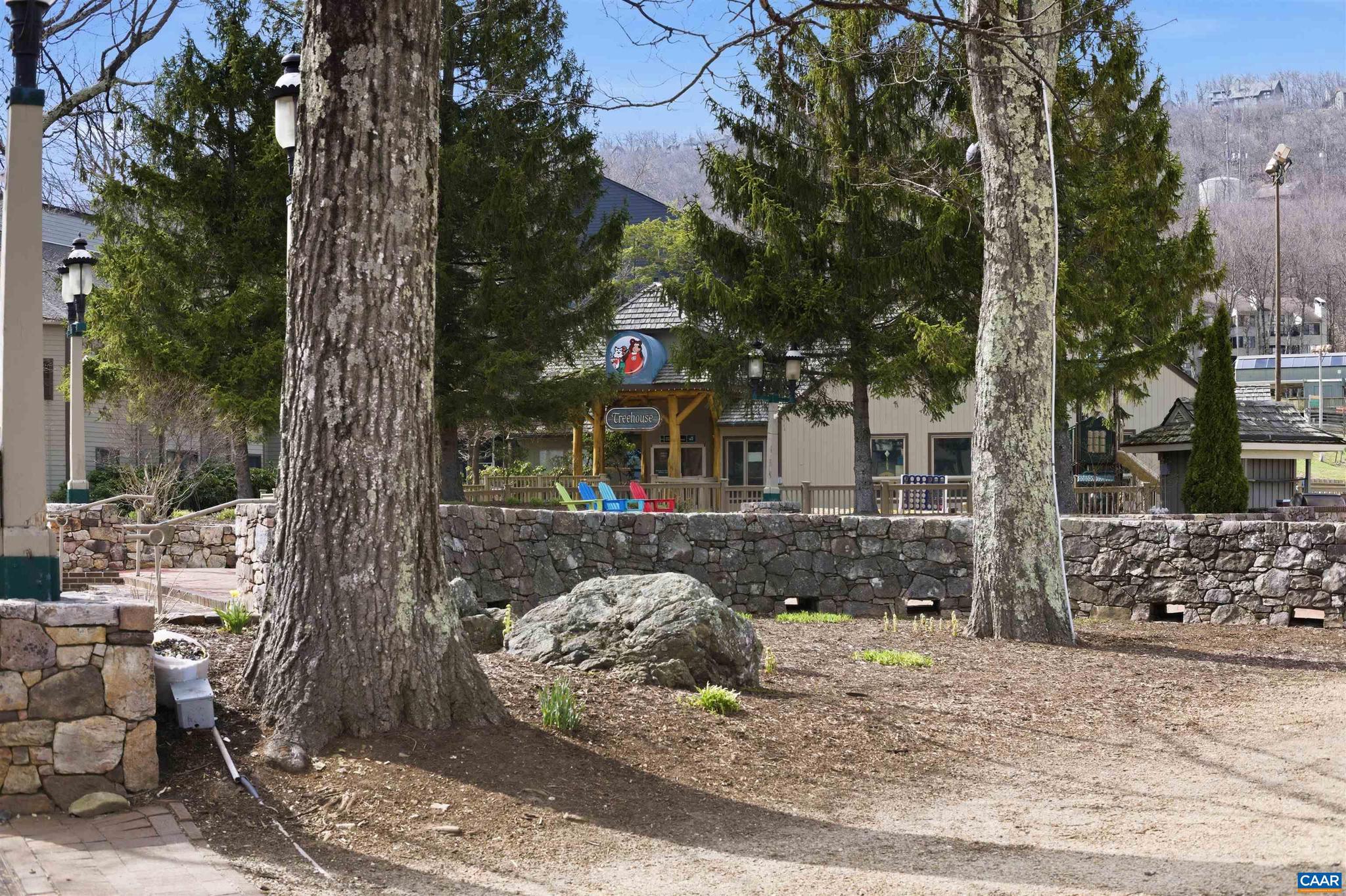 WINTERGREEN RESORT - Residential