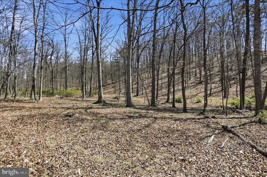 Most wooded acreage sells a dream. This property gives you a driveway, a cleared build site, a drilled well, and a real path to making that dream happen. This 20.32-acre tract in Ashton Woods is wooded, private, and already improved where it counts. A gravel driveway leads directly to a level, cleared build site, with a drilled well already in place. That means less guessing, less expense, and a faster path to actually using the land. As an exterior lot, the property offers the privacy of the Ashton Woods setting with the added benefit of direct county road access. No long, rough interior roads just to reach your property. You get seclusion without sacrificing convenience. For the outdoor buyer, the location is hard to beat. Nathaniel Mountain Wildlife Management Area, the South Branch of the Potomac River, and Canaan Valley are all within reach, giving you a true four-season basecamp for hunting, fishing, paddling, skiing, camping, or simply getting away. The power line corridor along the southern boundary is a major advantage for the right buyer. It creates edge, visibility, long shooting lanes, wildlife travel potential, and room for food plots or recreational use that most fully wooded parcels simply do not offer. The market is full of unimproved acreage where the buyer still has to figure out access, clearing, water, and where to build. This one is already started. Bring the camper, bring the cabin plans, bring the hunting gear, and start using the property instead of just dreaming about it.