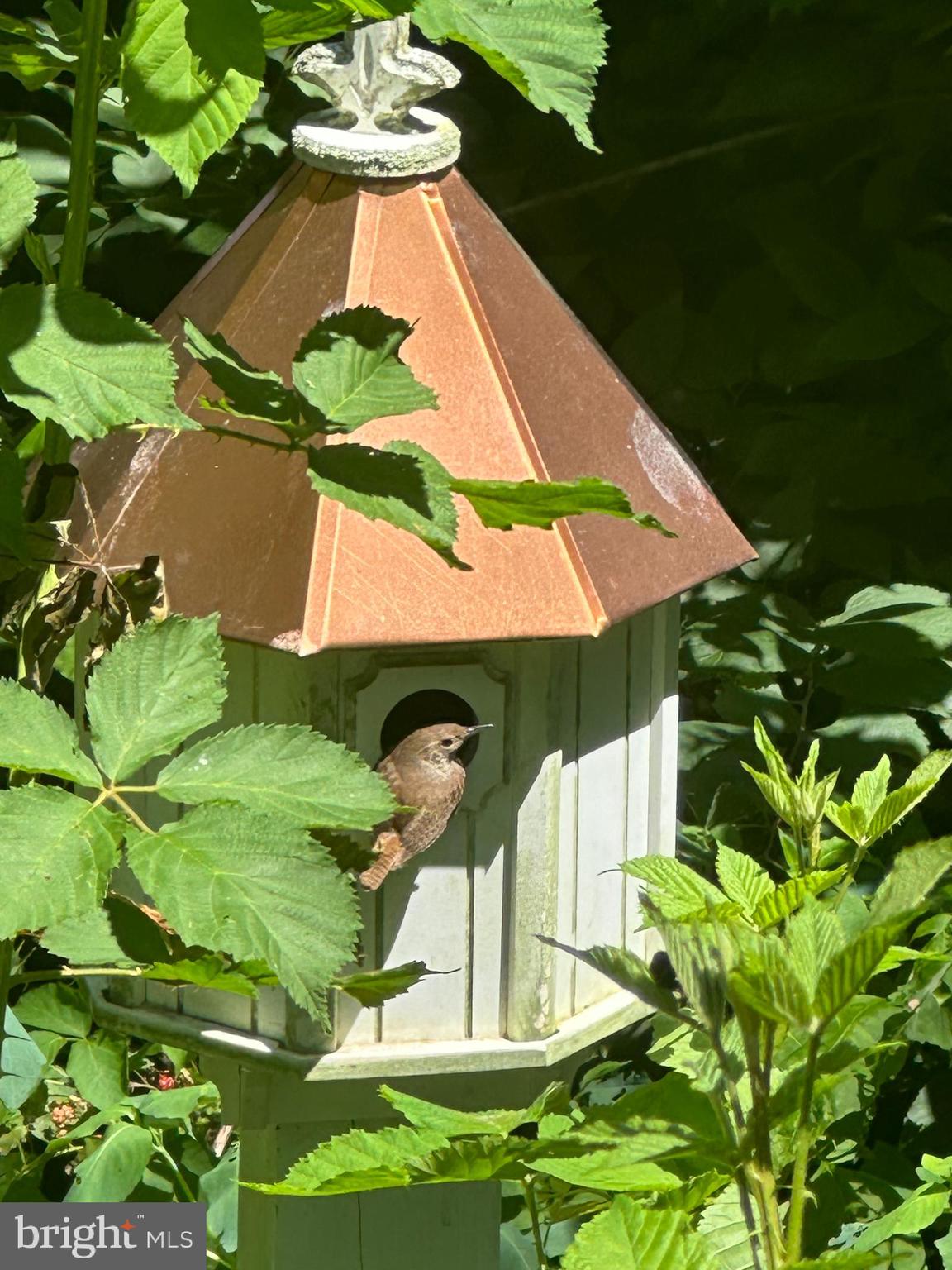 WINDING CREEK ESTS - Residential