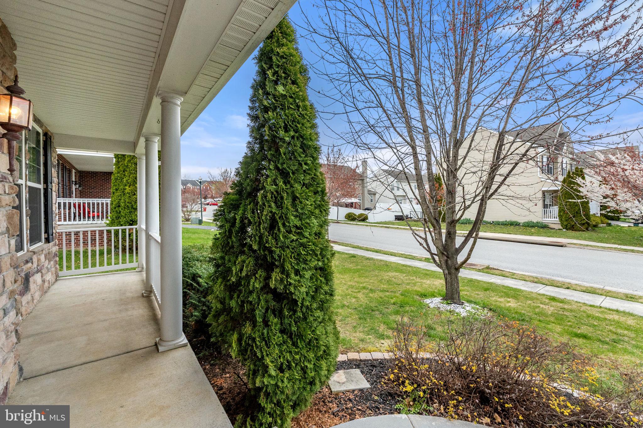 SHENANDOAH SPRINGS - Residential