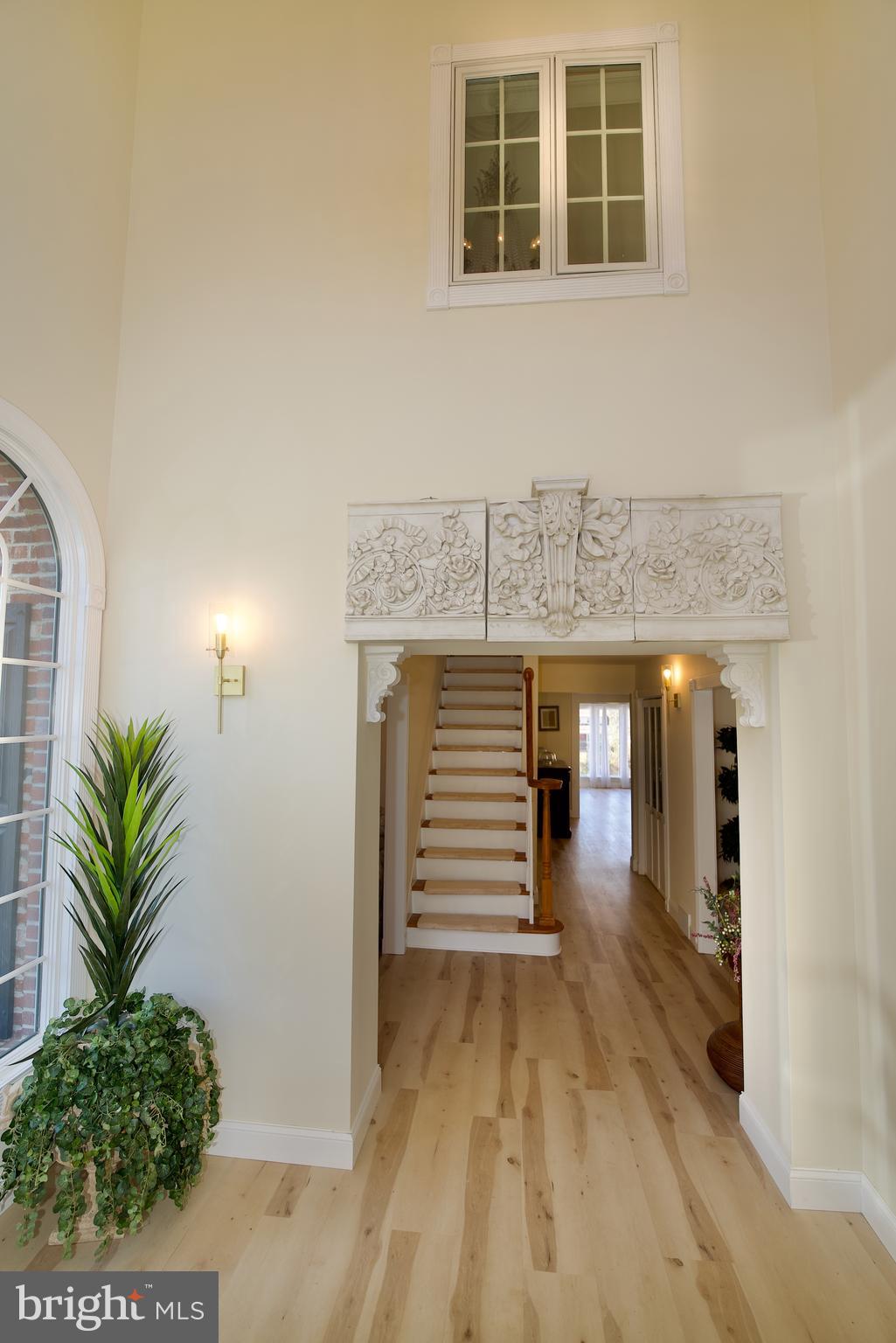 BOXWOOD - Residential