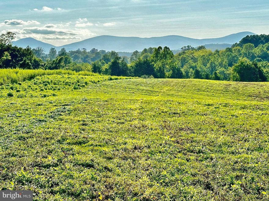 107 ACRES ON TOP OF THE WORLD.  Close-up Blue Ridge Mountain majesty and even closer to local mountains.  Mountains, mountains, everywhere.  If you want mountain views this is the one.   Fauquier County Open Space Easement.  Mostly open rolling land.  Small stream.  Buyer to confirm availability of utilities and access.   Rare mountain views parcel.   Gates must be kept closed and secured -- cattle in fields.
See docs for more information.  Must speak with listing agent so farmer can be alerted.  SECURITY