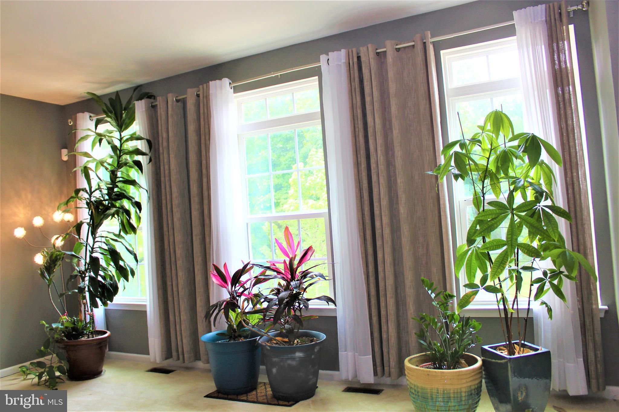 BEECH TREE EAST VILLAGE - Residential Lease