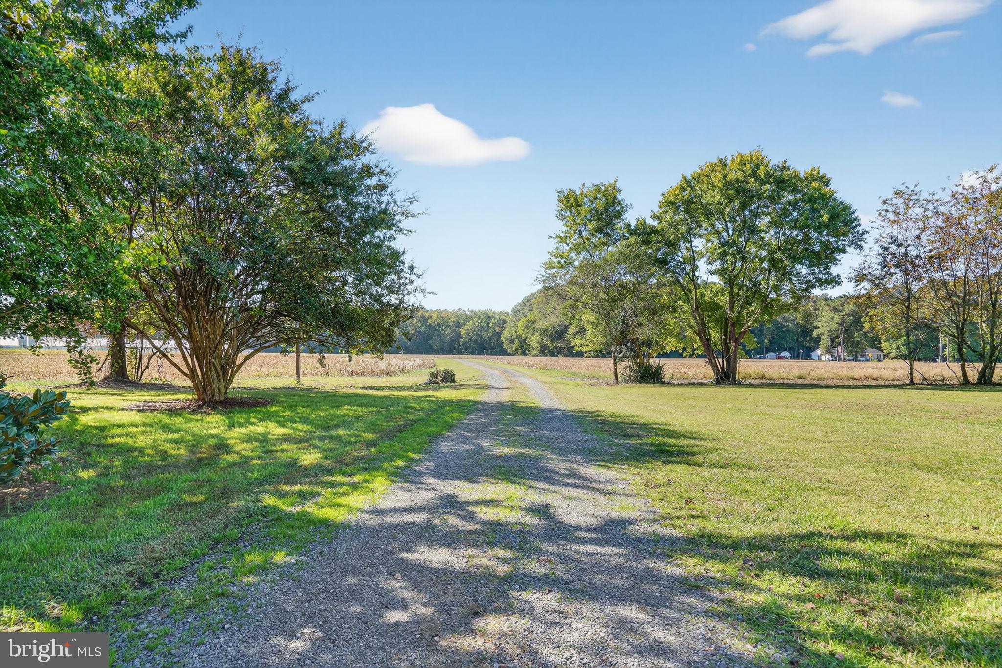 3557 SHEEPHOUSE ROAD