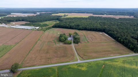 3557 SHEEPHOUSE ROAD POCOMOKE CITY MD 21851
