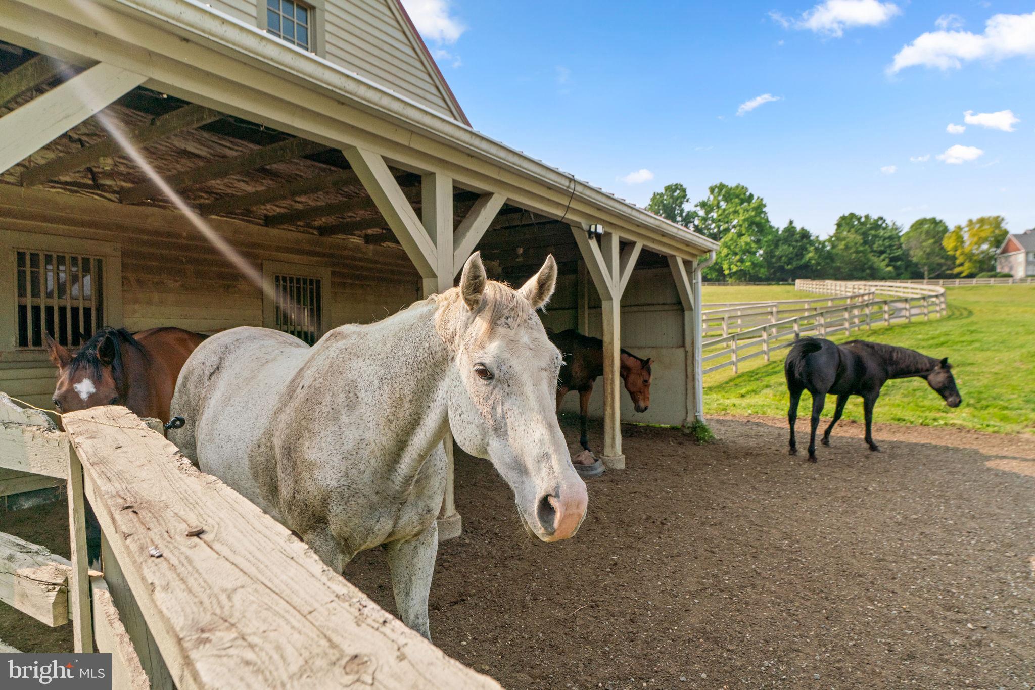 PATERNAL GIFT FARM - Residential