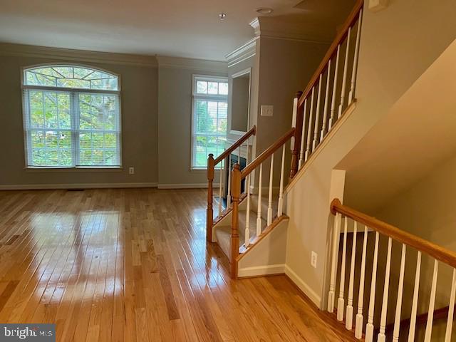 413 OAK KNOLL DRIVE
