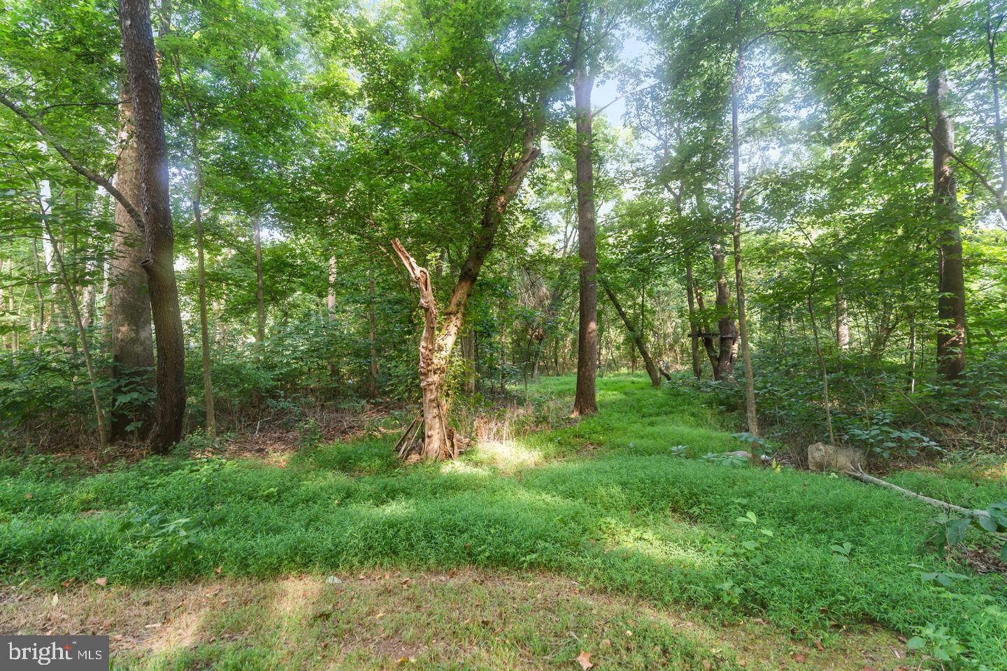 6036 CANTER LANE