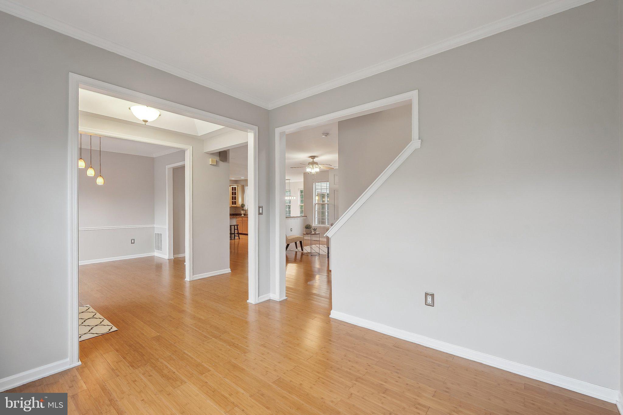 8479 CATIA LANE