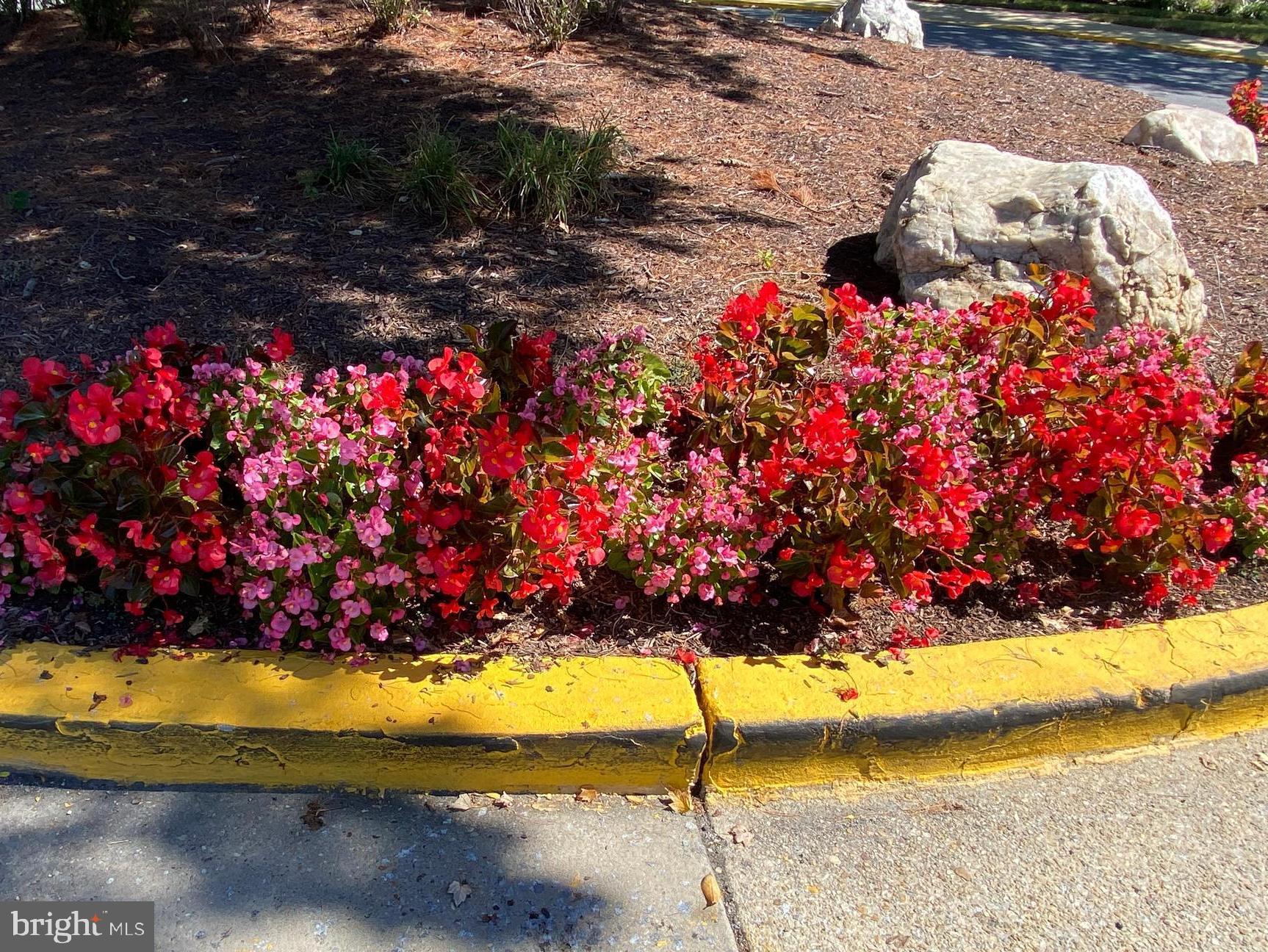 HUNTING RIDGE CONDOMINIUM - Residential