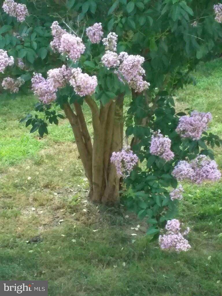 WIDEWATER VILLAGE - Residential