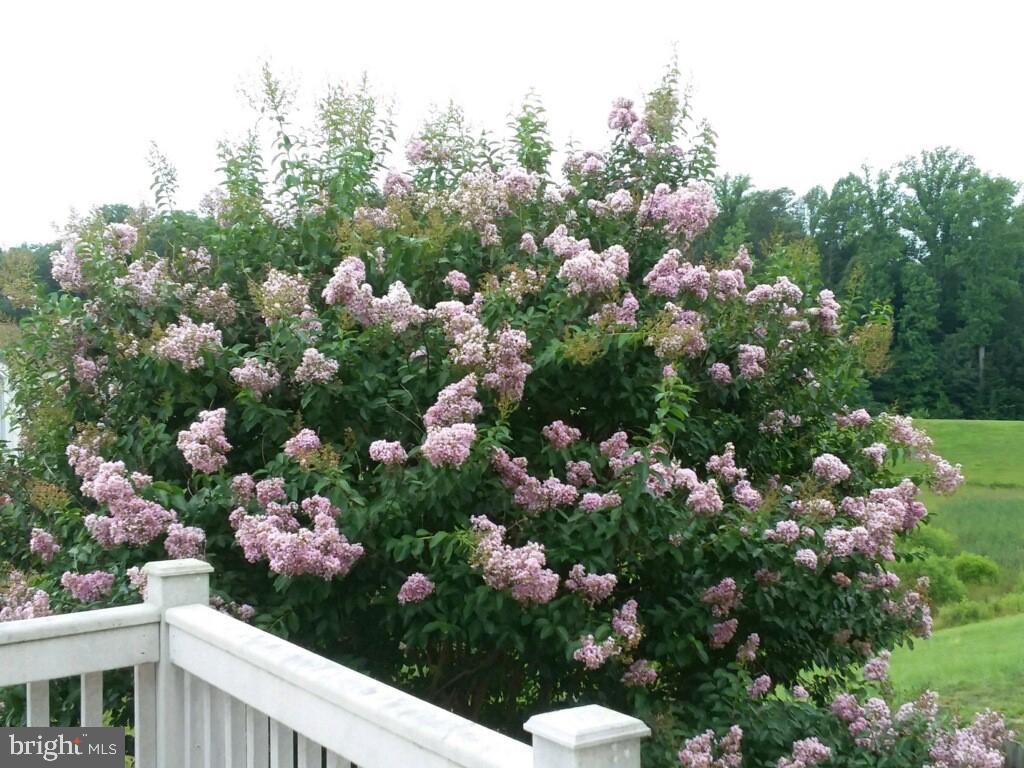 WIDEWATER VILLAGE - Residential