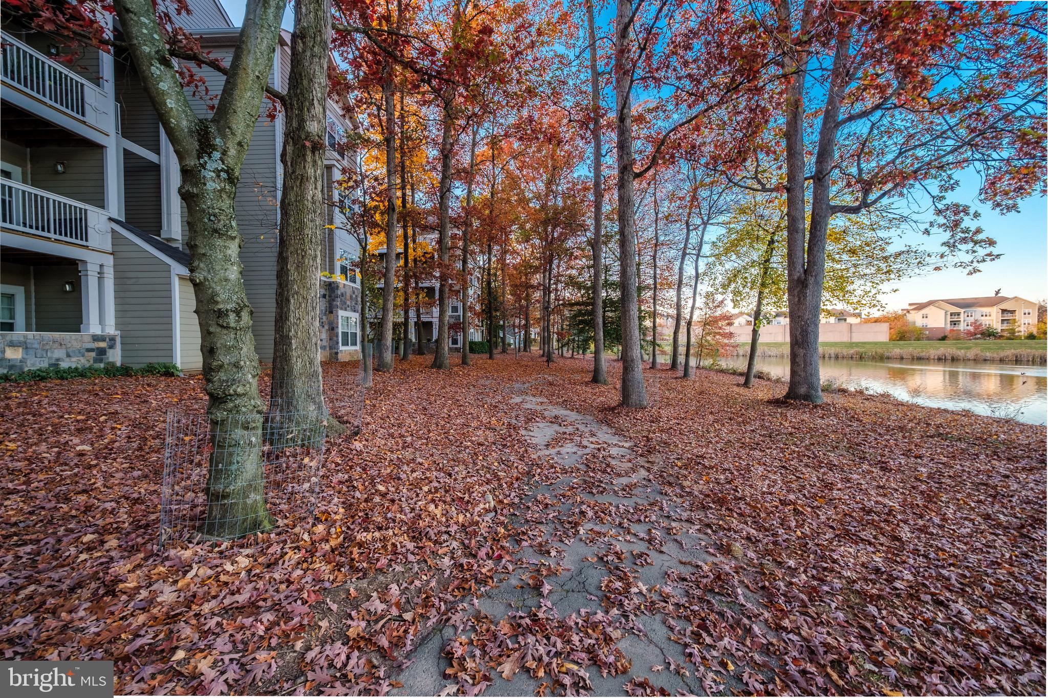 EDGEWATER AT TOWN CENTER - Residential