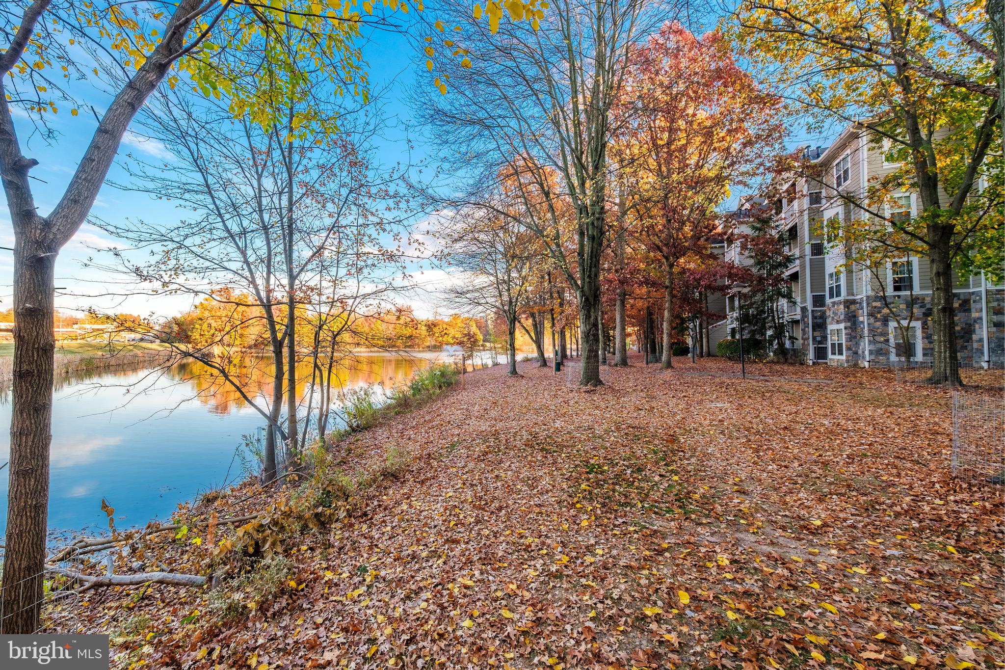 EDGEWATER AT TOWN CENTER - Residential