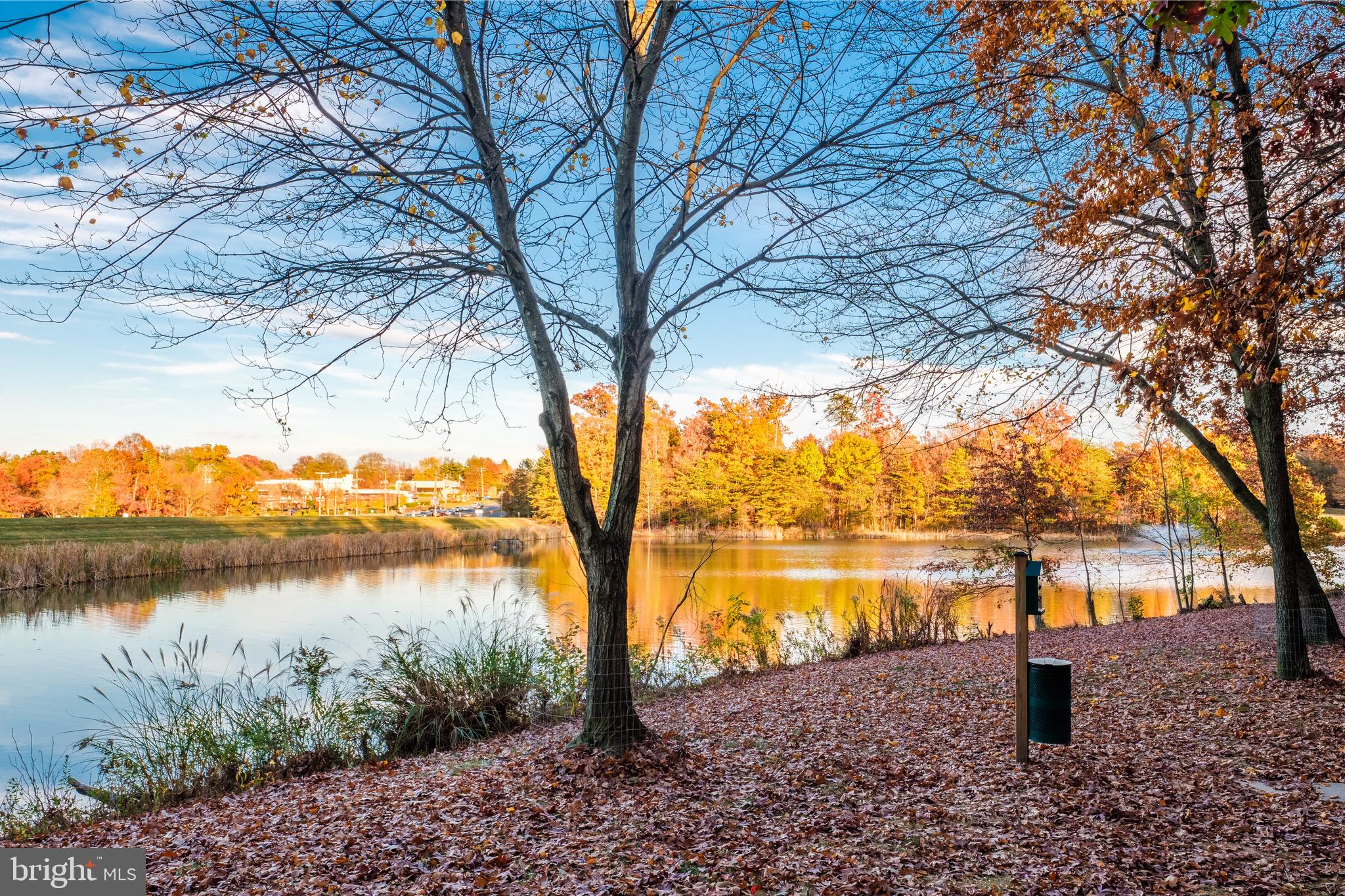 EDGEWATER AT TOWN CENTER - Residential