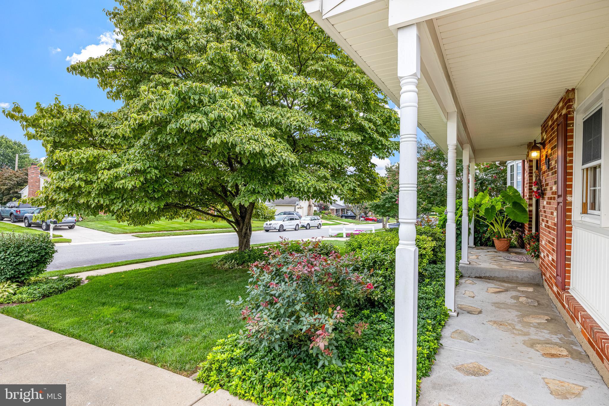 18 WHITFIELD ROAD