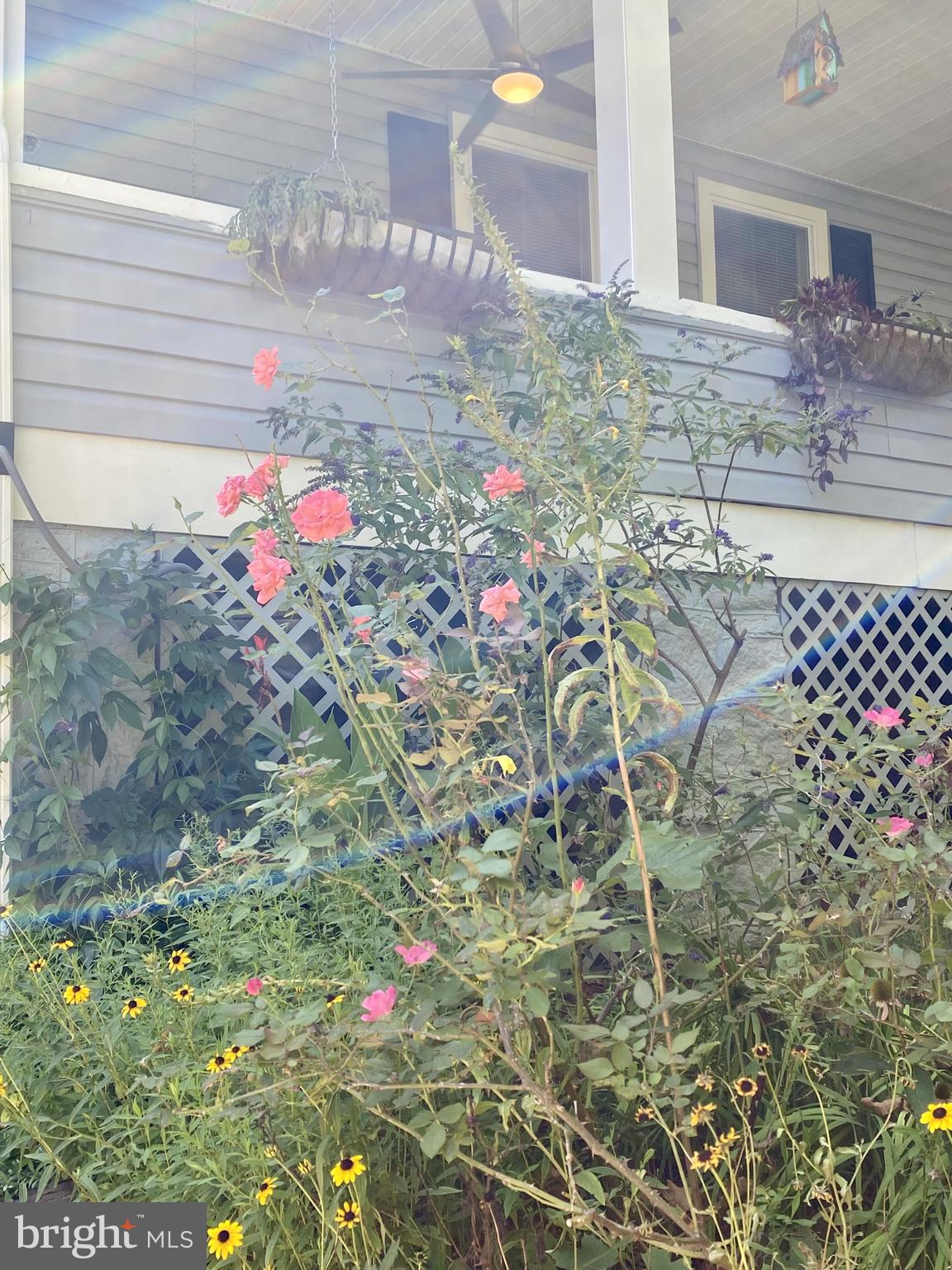 LAURAVILLE HISTORIC DISTRICT - Residential