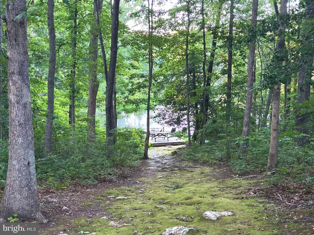 12504 MORTAR LANE