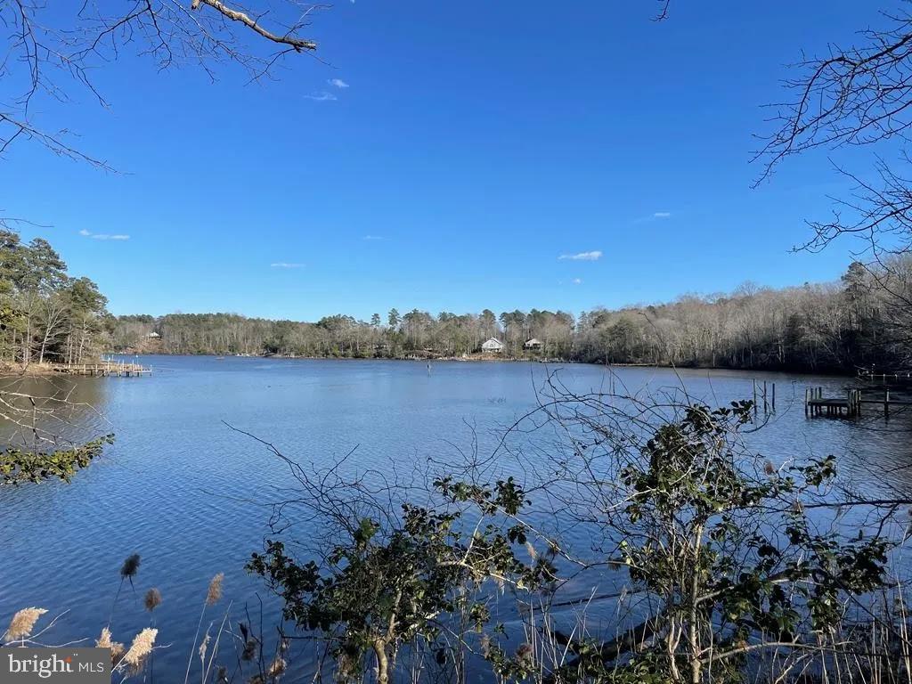 LOT 145 PINTAIL LANE