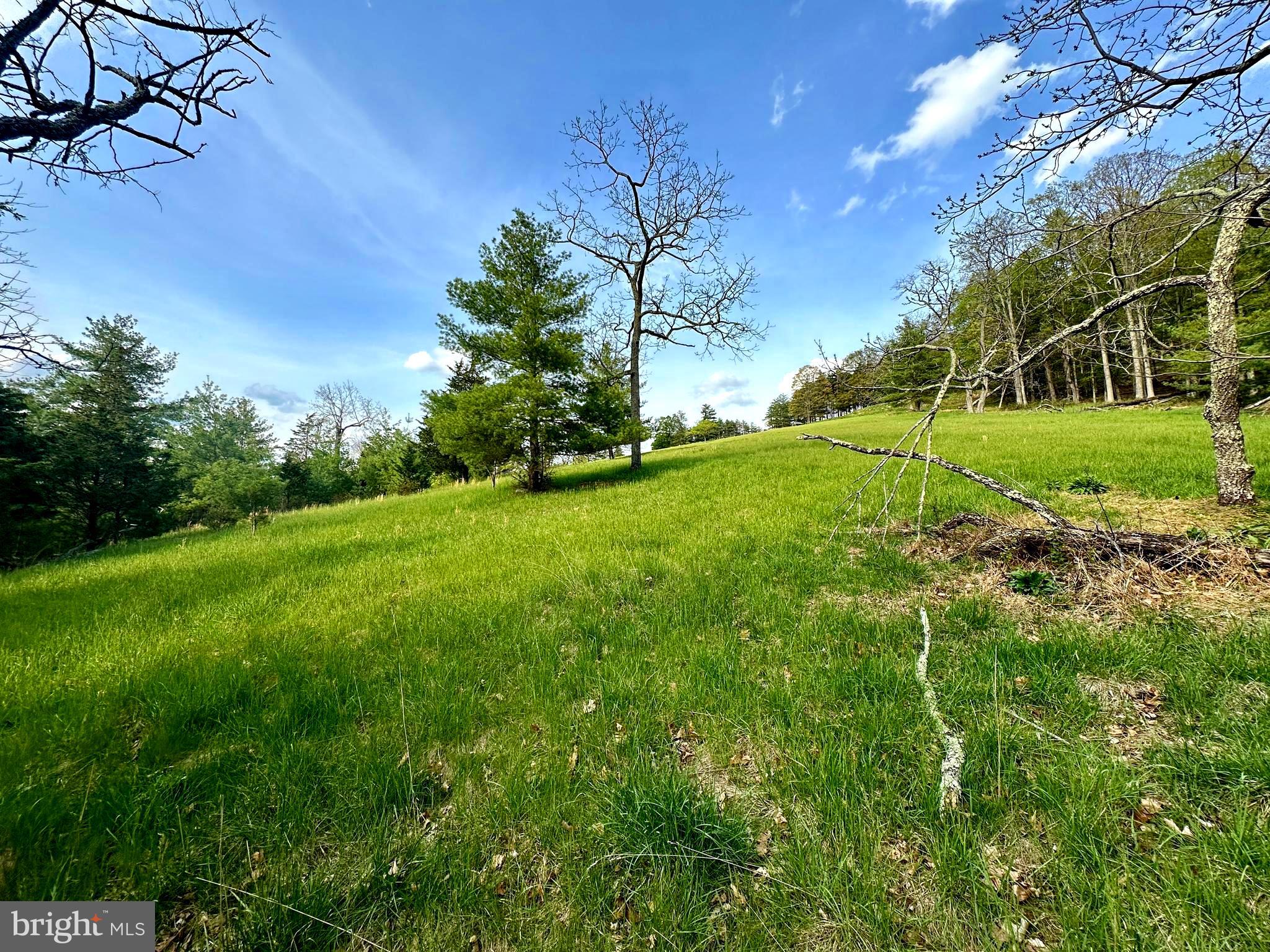 FISHER MOUNTAIN GOLF CLUB & RESORT - Land