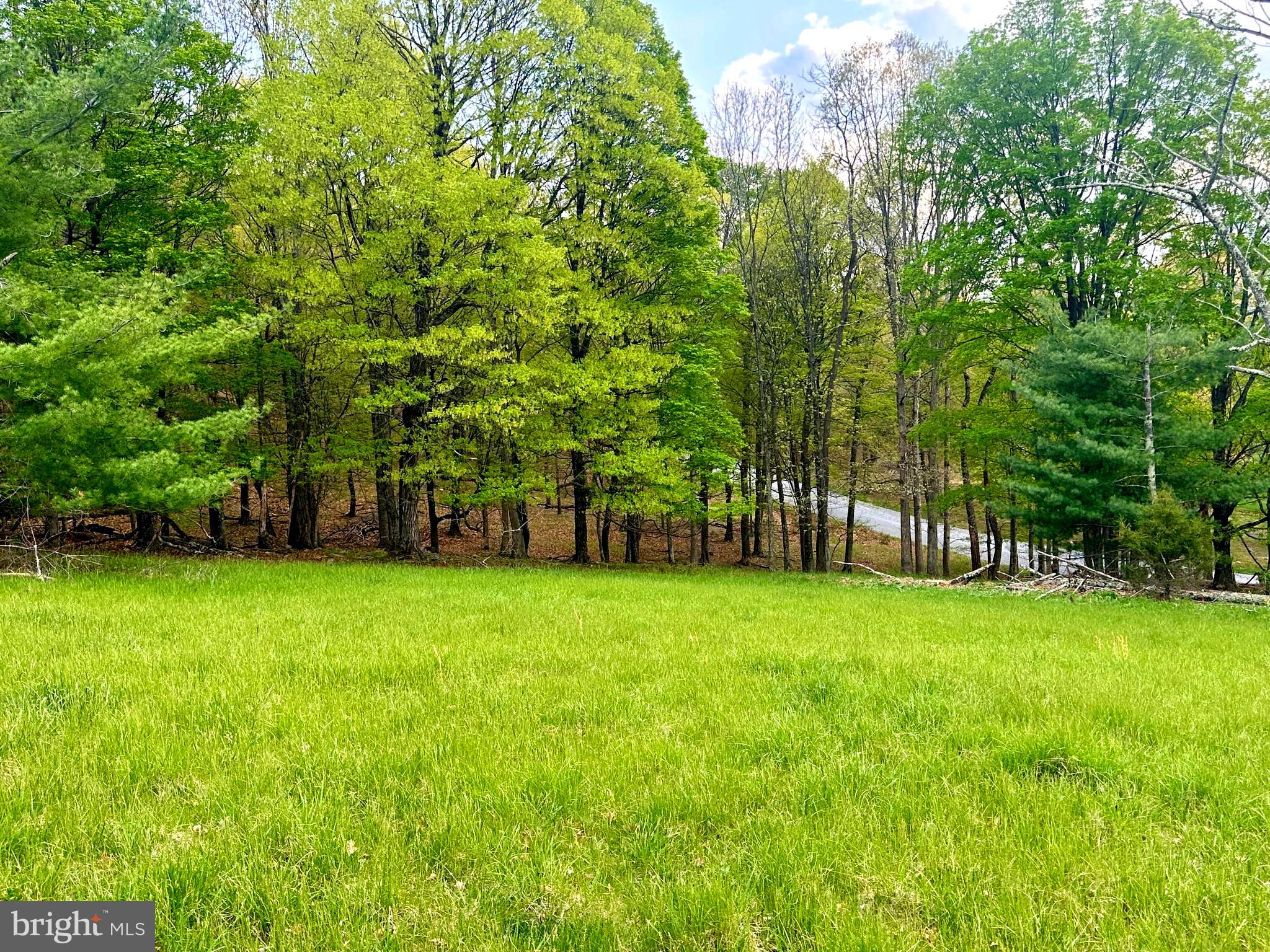 FISHER MOUNTAIN GOLF CLUB & RESORT - Land