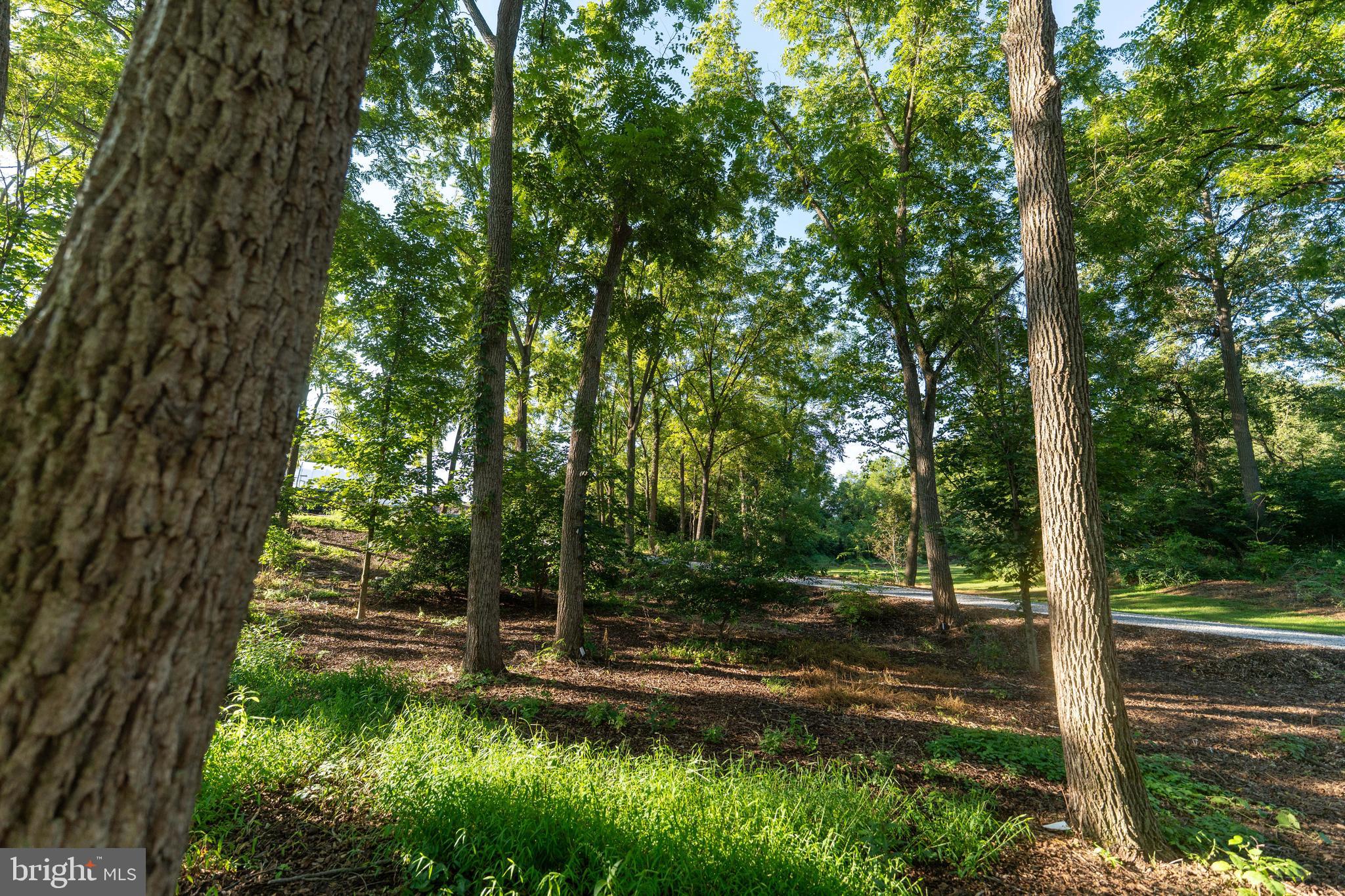 WEST PENNSBORO TWP - Residential