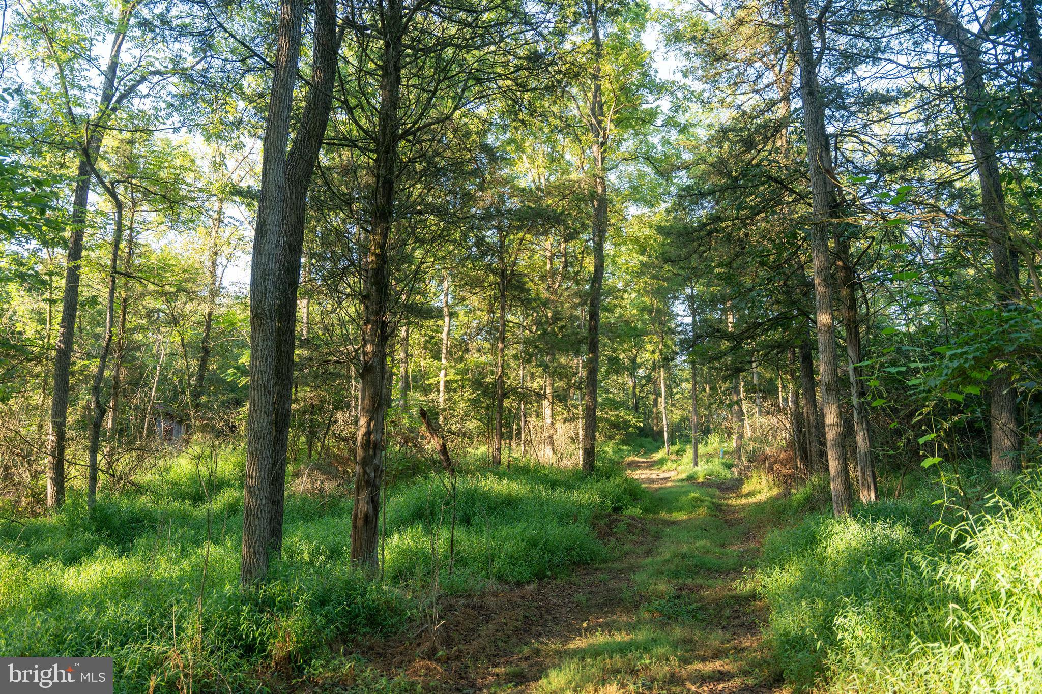 WEST PENNSBORO TWP - Residential