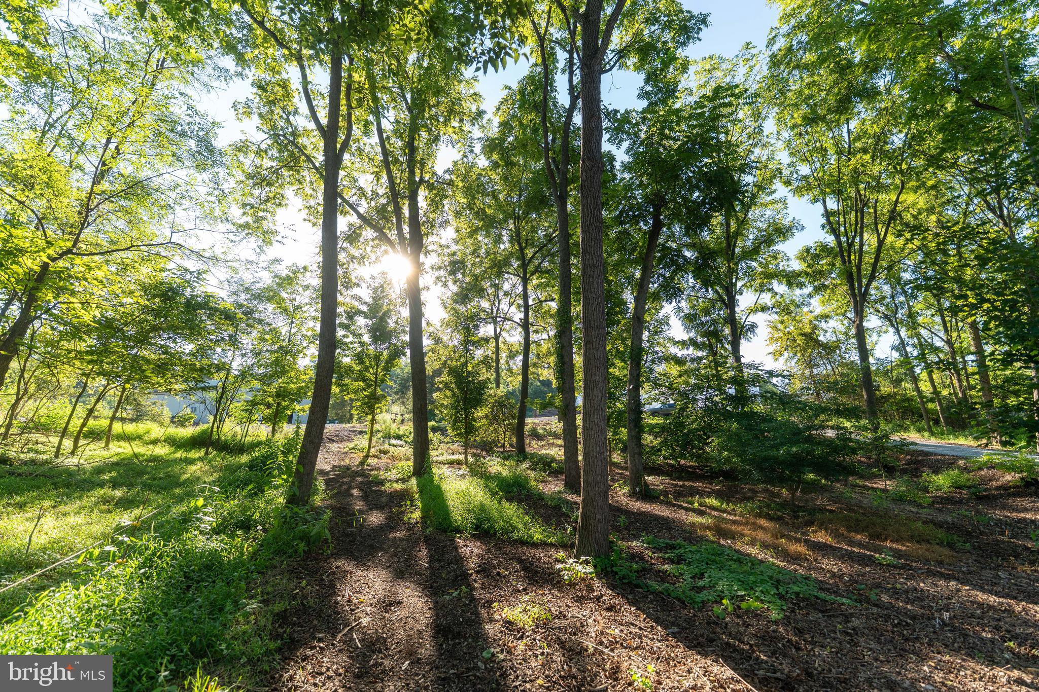 WEST PENNSBORO TWP - Residential