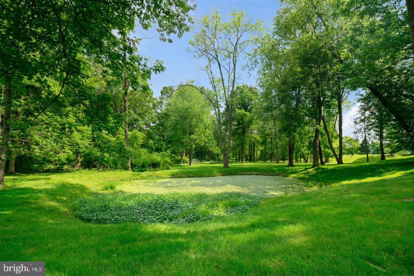 PINE TREE FARM - Residential