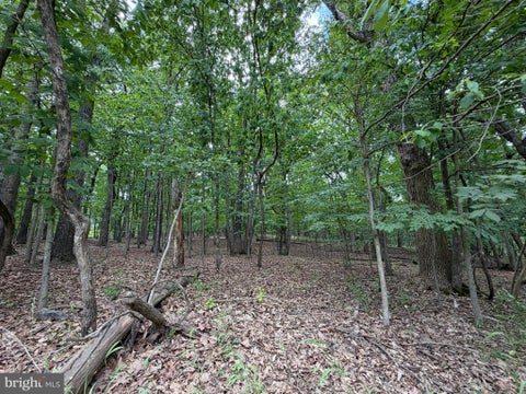 Vacant Land For Sale - Logger Drive #LOT 82<br/> GORE, VA 22637