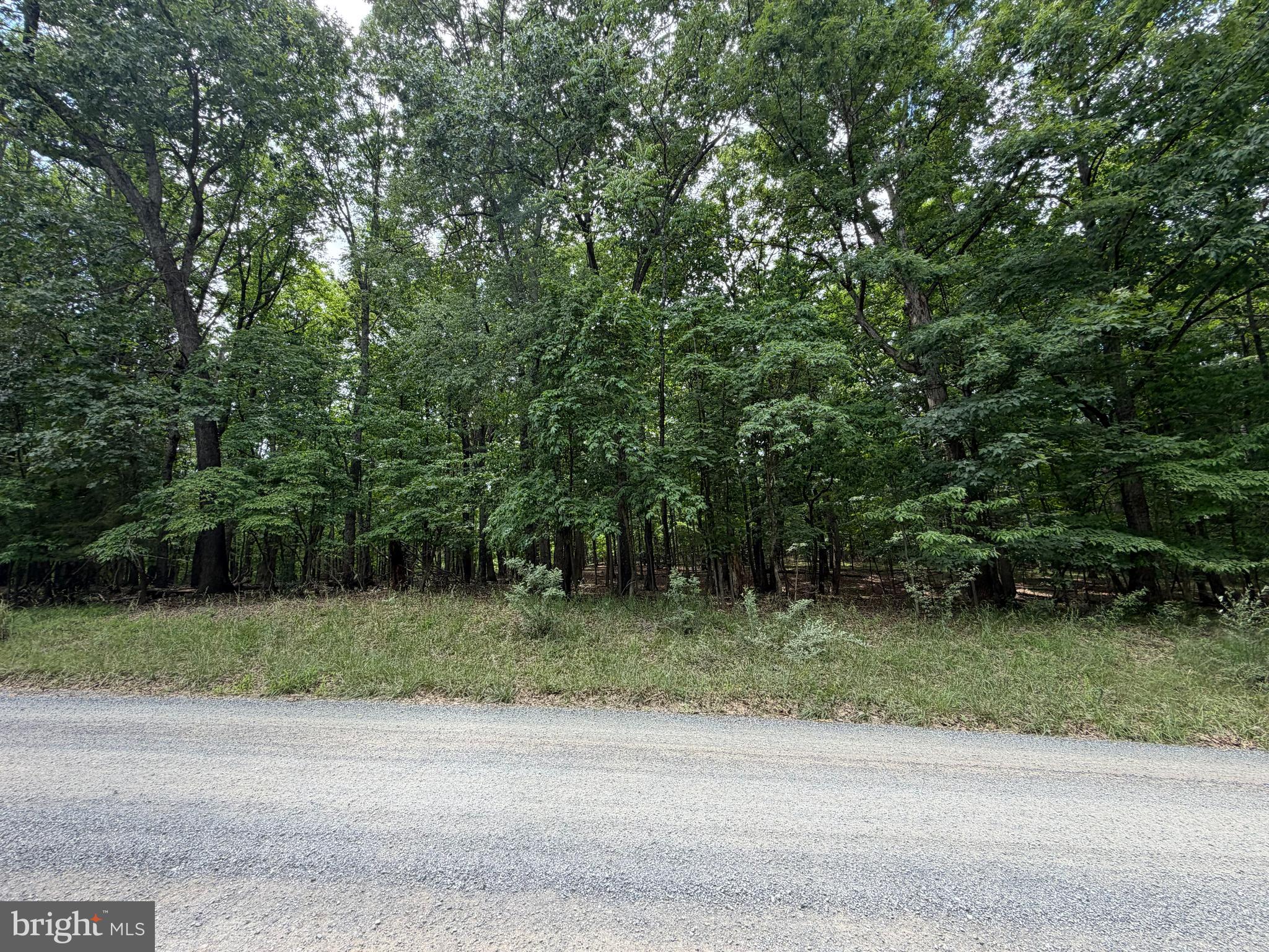 LOGGER DRIVE LOT 82