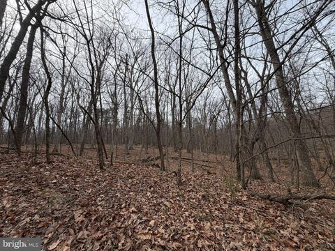 Vacant Land For Sale - Logger Drive #LOT 82<br/> GORE, VA 22637
