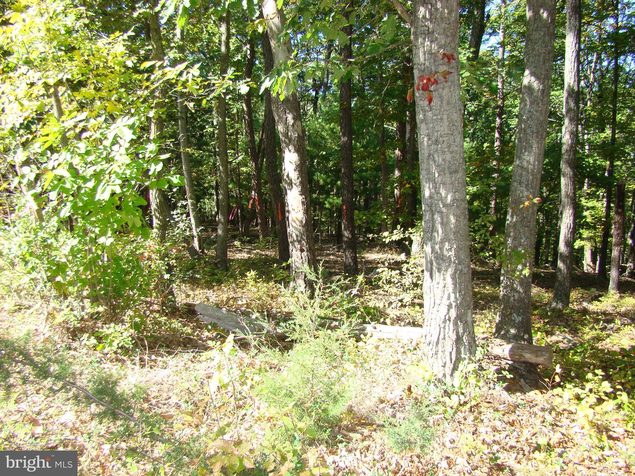 NONE AVAILABLE - Land